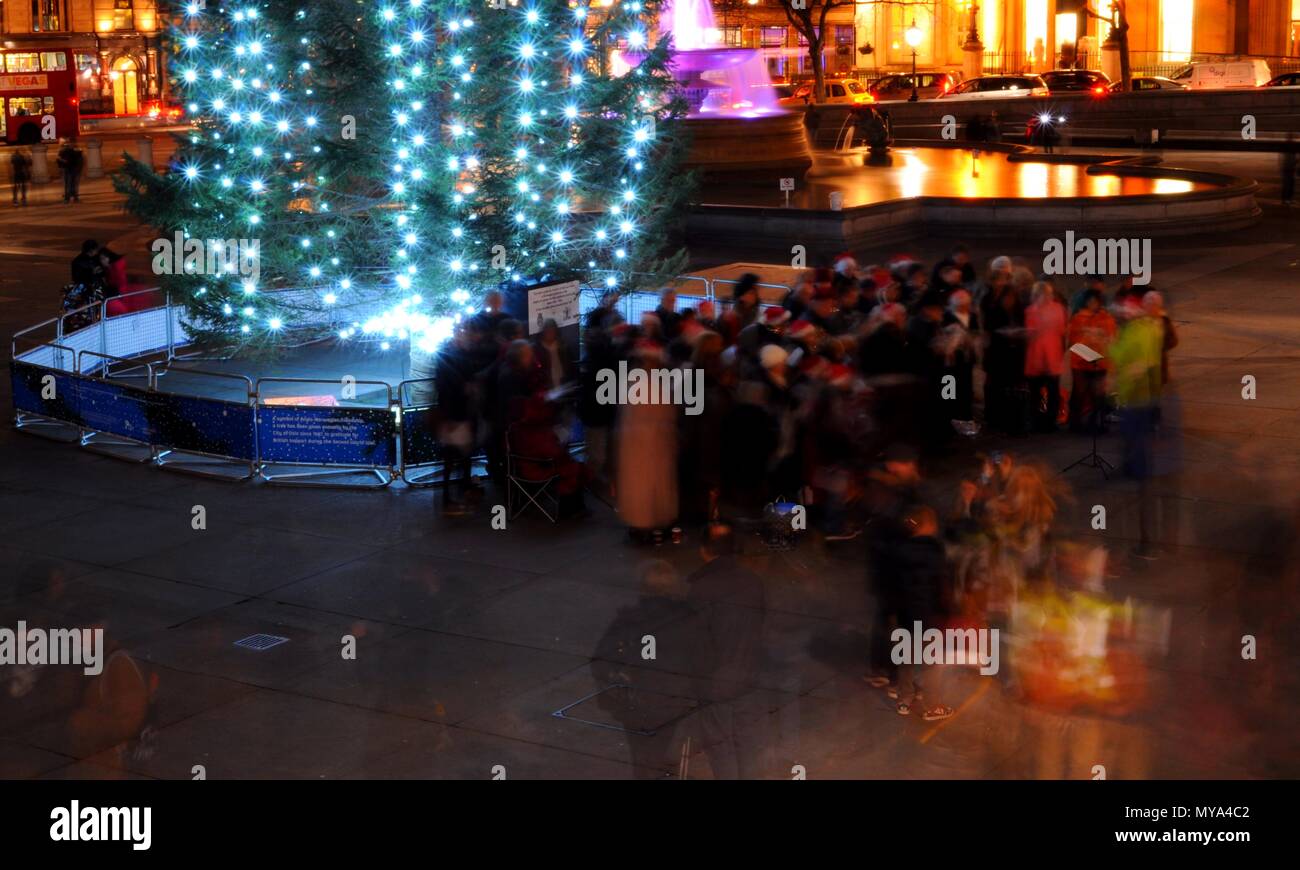 Carol cantanti con l'albero di Natale in Trafalgar Square a Londra. Foto Stock