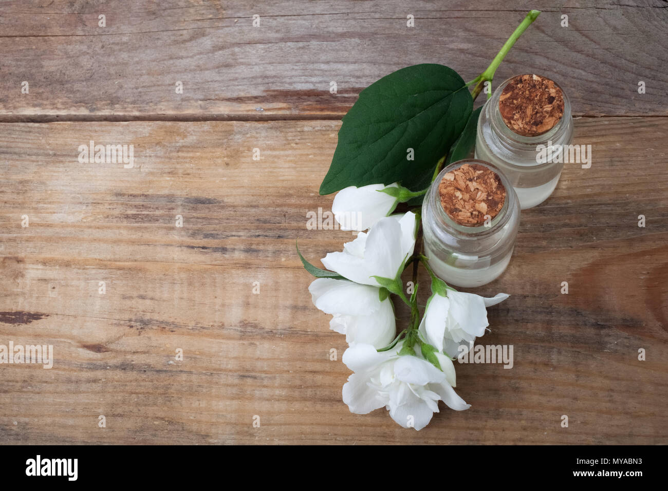 Olio essenziale di fiori di gelsomino. Vista superiore Foto Stock