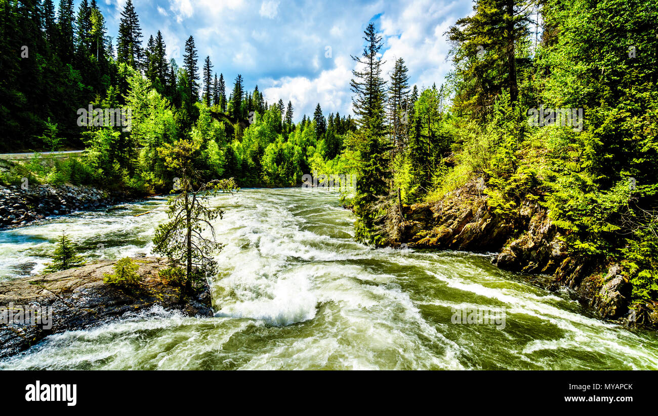 Un eccessivo livello di acqua alta nel fiume Murtle dovuta alla molla run off delle acque glaciali nel Grey Parco Provinciale in BC, Canada Foto Stock