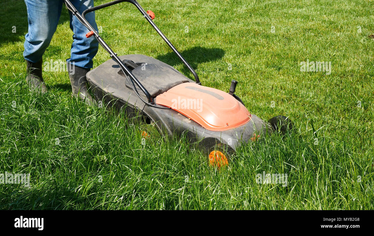 L uomo è la falciatura dell'erba del giardino. Foto Stock