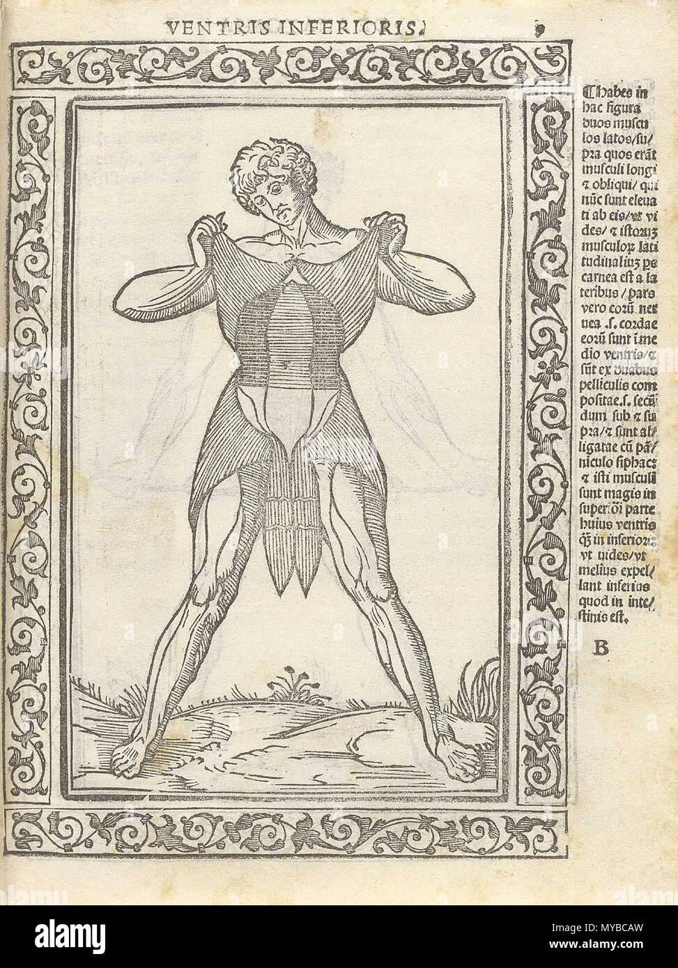 . Inglese: Berengario da Carpi, Jacopo. Isagogae breues, perlucidae ac uberrimae, in anatomiam humani corporis un communi medicorum academia usitatam. (Bologna: Beneditcus Hector, 1523). Jacopo Berengario da Carpi, noto anche come Jacobus Berengario Carpensis, Jacopo Barigazzi, o semplicemente carpo, è nato a Carpi Modena in circa 1460, figlio di un chirurgo. Mentre il giovane, egli era uno studente della stampante notato e editor, Aldus Manutius. Ha frequentato la scuola di medicina a Bologna e più successivamente ha insegnato chirurgia a Pavia, e dal 1502 al 1527 egli era sulla facoltà di Bologna a. A vari tempi, egli visse in Ferr Foto Stock