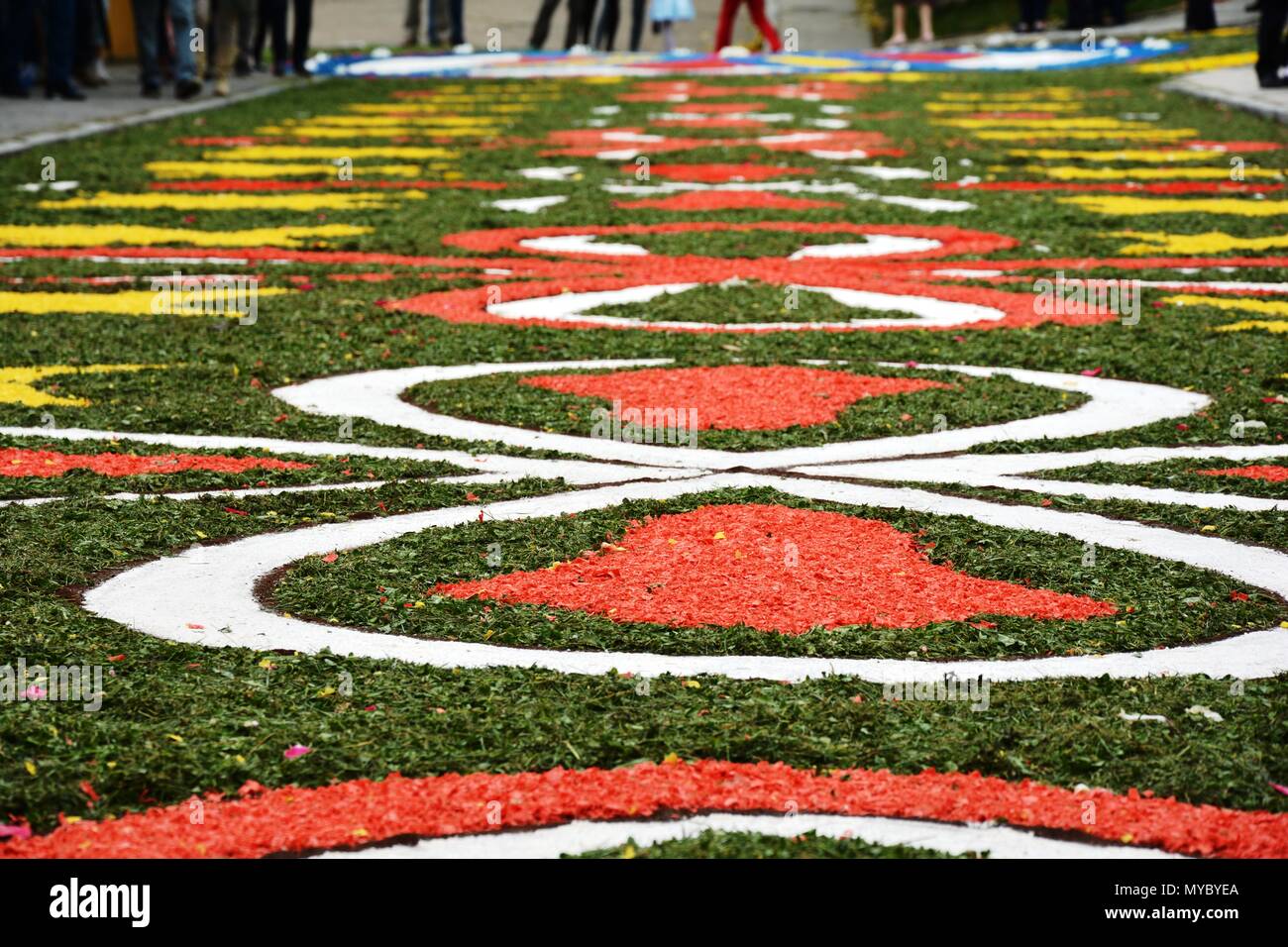 Fiori sulla strada, party, decorata, street Foto Stock