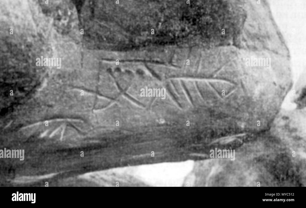 . Foto di petroglifi antropomorfi da Kamyana Mohyla (pietra stampo) in Ucraina . Questo file è privo di informazioni sull'autore. 299 km-Gallery01 Foto Stock