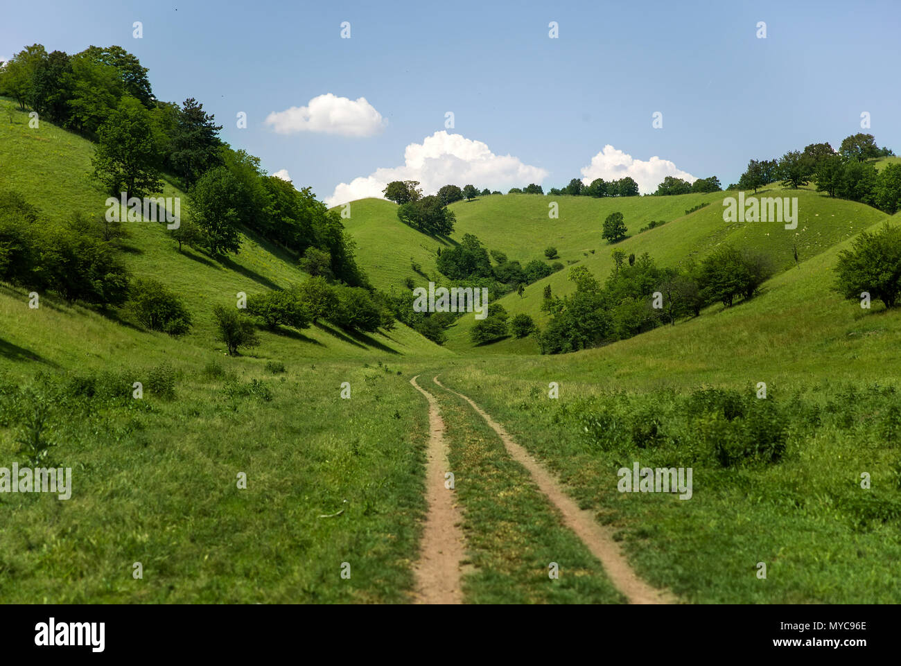 Colline Zagajica in Serbia, splendido paesaggio in un giorno di estate Foto Stock