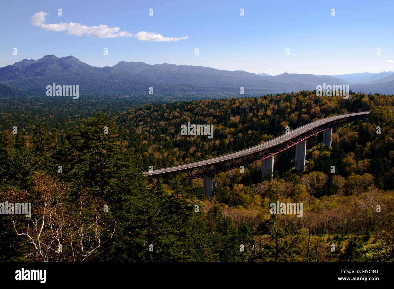 Treescape e sky bridge , mare di albero in Hokkaido mountain Foto Stock