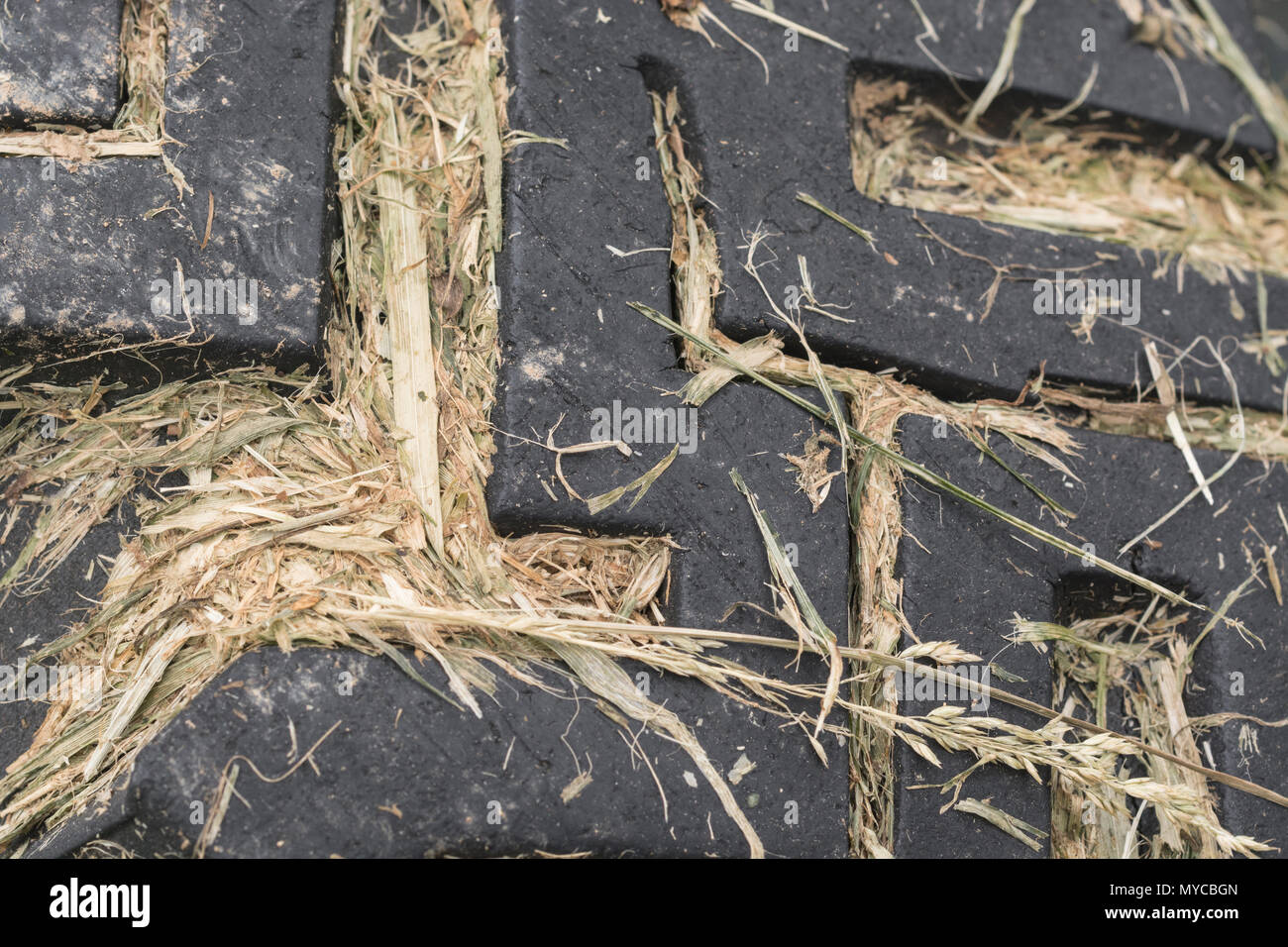 Piccola parte anteriore del pneumatico del trattore con tagli di erba alloggiato tra le scanalature del battistrada. Foto Stock