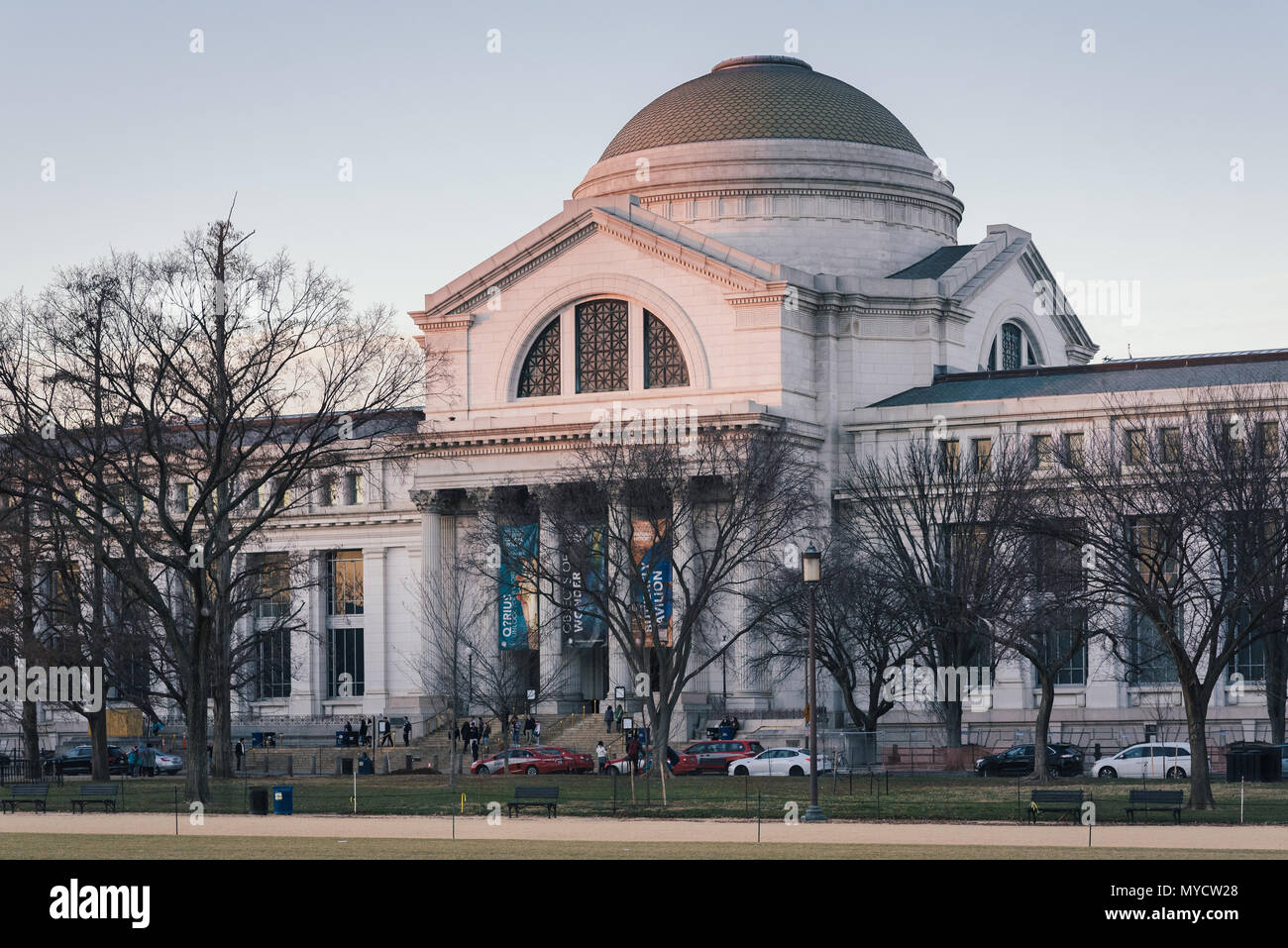 Lo Smithsonian, il Museo Nazionale di Storia Naturale, a Washington, DC Foto Stock