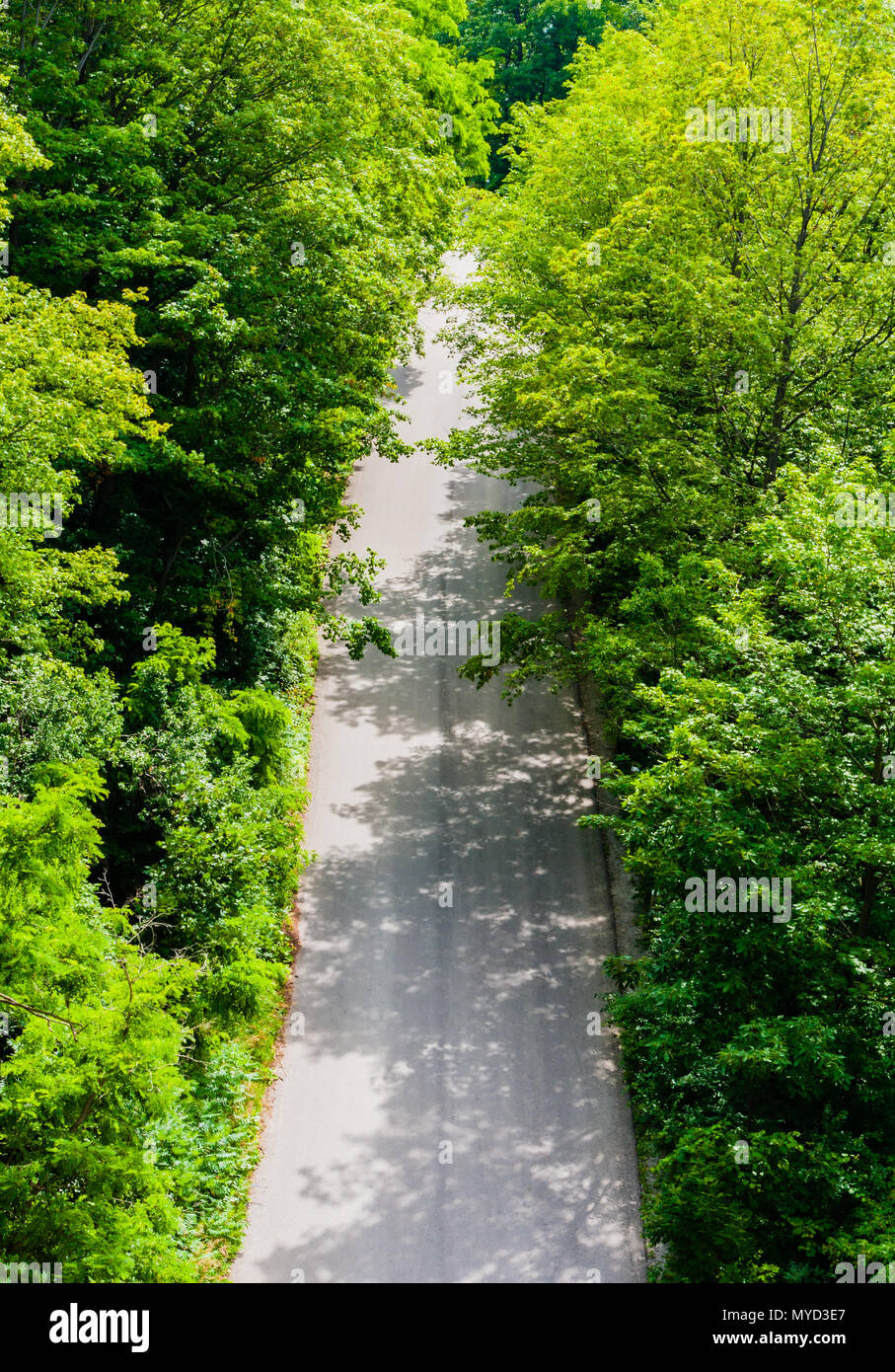Camuffati vuota strada asfaltata in una fitta foresta e cespugli visto dal di sopra. Foto Stock