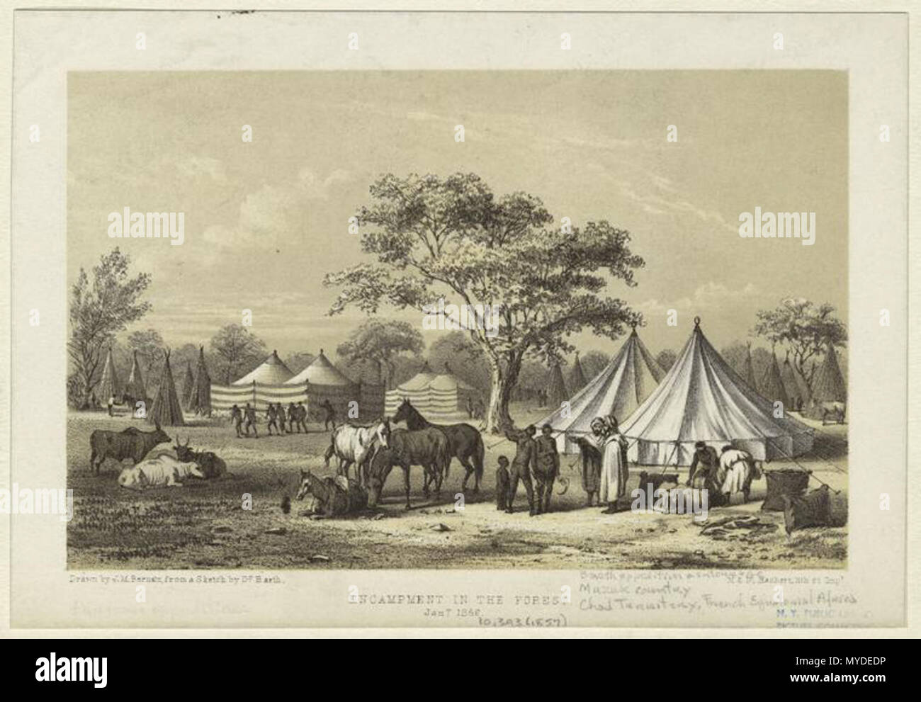 . Accampamento nella foresta, Ciad. Bianco & nero; 14 x 19 cm. (5 1/4 x 7 1/2 in.). Stampato sul bordo: 'drawn J.M. Bernatz, da uno schizzo di D.F. Barth.' 'Jany. 1852." 'M & N, Hanhart, lith. et impt." scritto sul bordo: 'Barth spedizione & entourage, Muzuk paese, Ciad, Territorio francese Africa Equitorial." . 1852. J. M. Bernatz, M. & N. Hanhart Cromoterapia Lith. 161 Encampment nella foresta (Ciad) Foto Stock