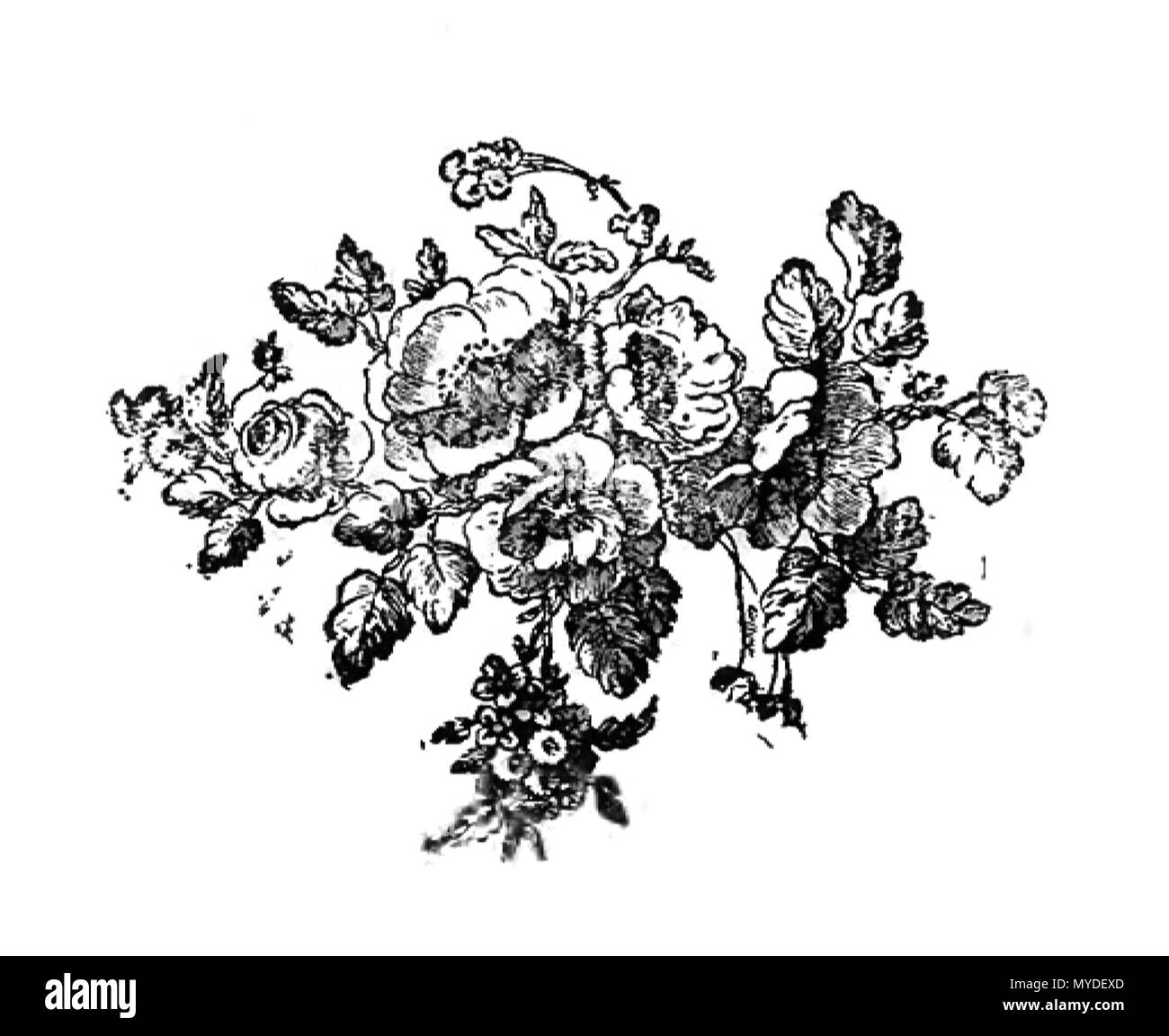 . Français : Illustrazione . Il 29 aprile 2016. Watrelet 162 Encyclopedie Methodique - Beaux Arts - C2 Foto Stock