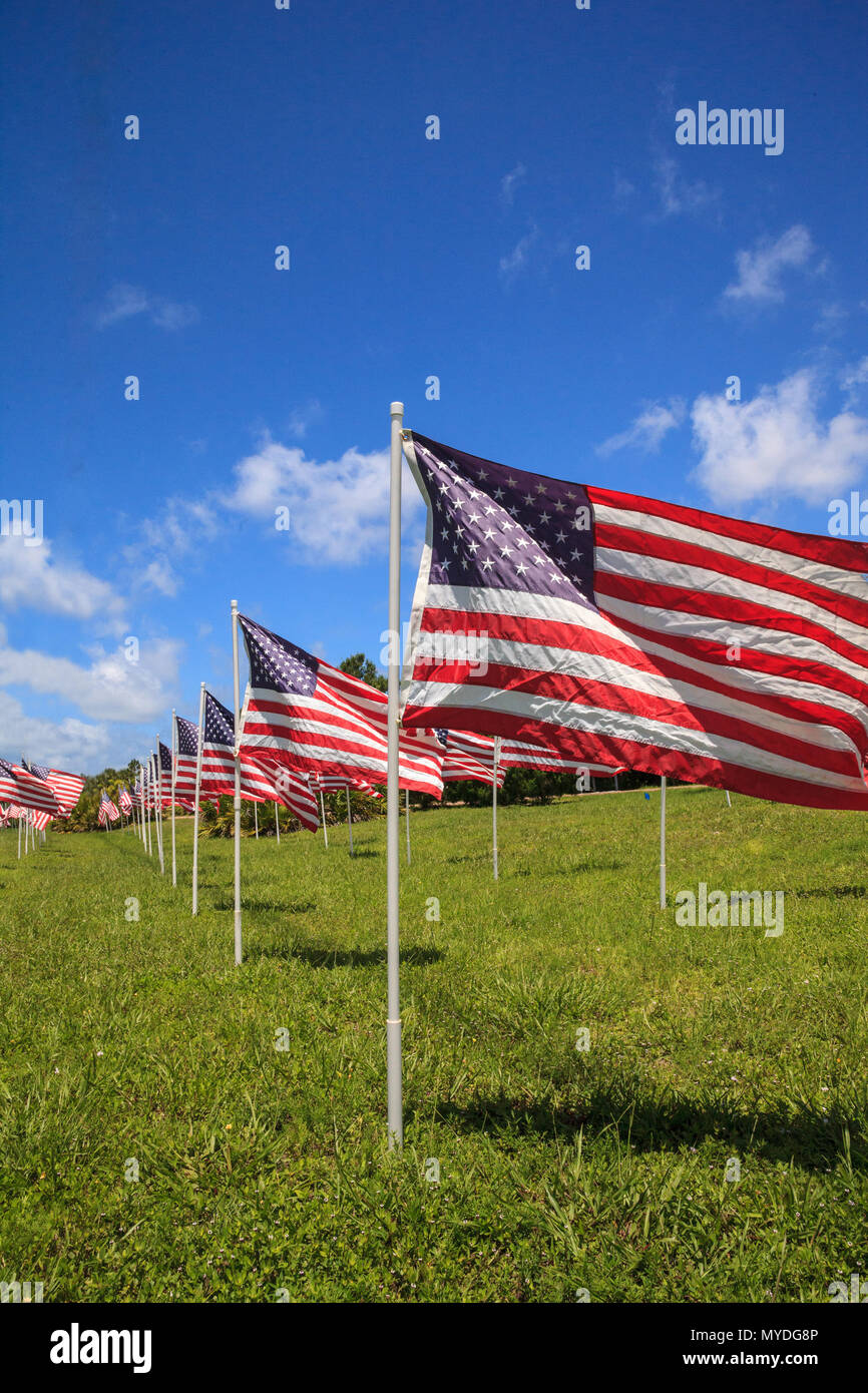 Display patriottica di più grandi bandierine americane in onda il vento durante la vacanza. Foto Stock
