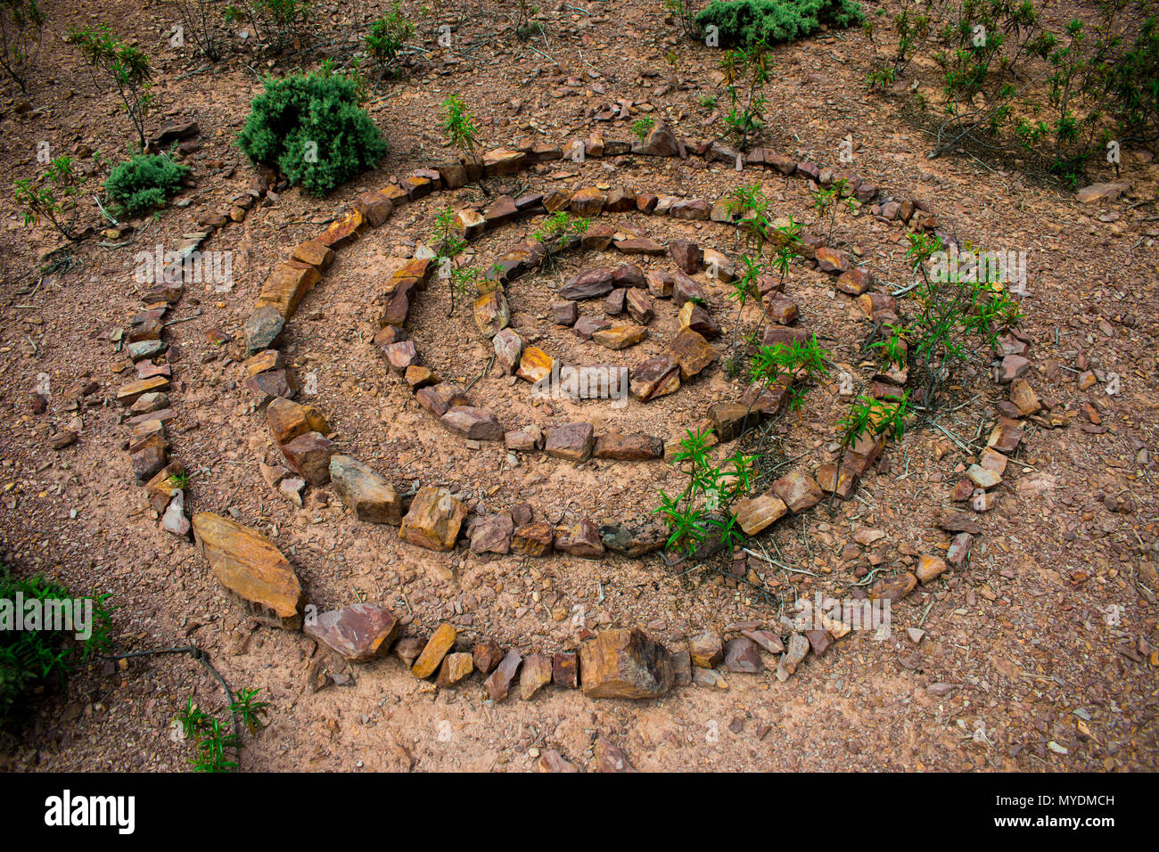 Spirale di pietra fatta di tanti singoli pietre a secco su un pavimento lapideo con piante verdi cresce attraverso la spirale di pietre. Foto Stock