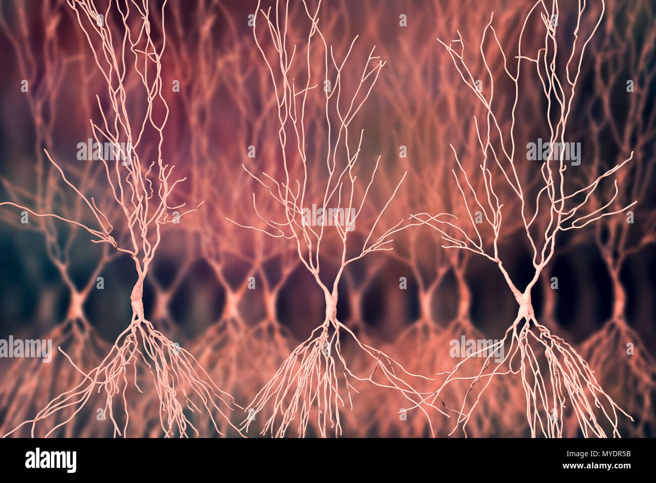 Ippocampo neurone, illustrazione del computer. L'ippocampo in esseri umani è la struttura del cervello responsabili per la memoria a lungo termine. Foto Stock