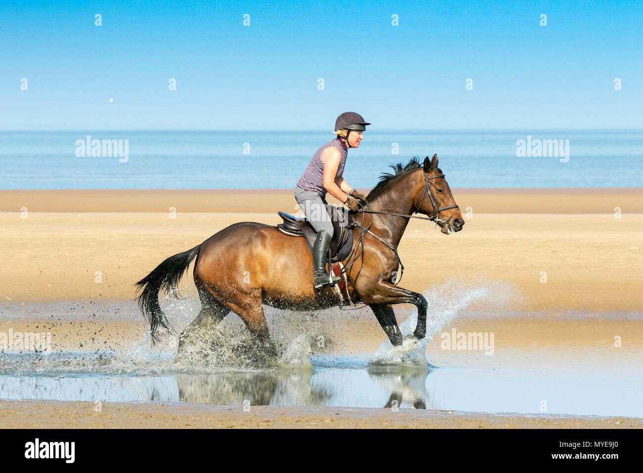 Cavallo Cavaliere, Ainsdale Beach, Southport, Merseyside. Il 7 giugno 2018. Regno Unito Meteo. Bellissimo cielo azzurro e sole splendente sono condizioni perfette per una corsa come Beverley Whitehead [mr] galoppa sul suo amato 13anni 'cavallo grandi capacità' attraverso la marea lungo il litorale di Southport beach nel Merseyside. Credito: Cernan Elias/Alamy Live News Foto Stock