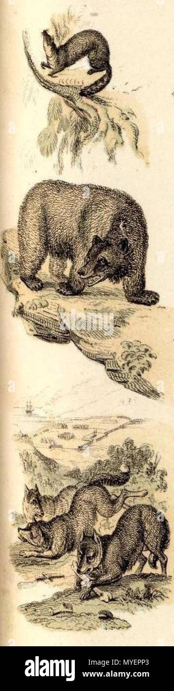 . Inglese: (Caucausus & Crimea con le porzioni del nord del nero e del Mar Caspio, Mari IX. (A) Crimea secondo Huot & Demidoff. Disegnato e inciso da J. Bartolomeo, Edimburgo. (A) Il Caucaso secondo Profr. Il dottor Karl Koch, con aggiunte di altre fonti da Augusto Petermann, F.R.G.S. Incisi da G.H. Swanston. A. Fullarton & Co. Londra, Edimburgo e Dublino. 1872. Fullarton, A. & Co 200 Fullarton, A. &AMP; Co. Caucausus &AMP; la Crimea. 1872 (K) Foto Stock