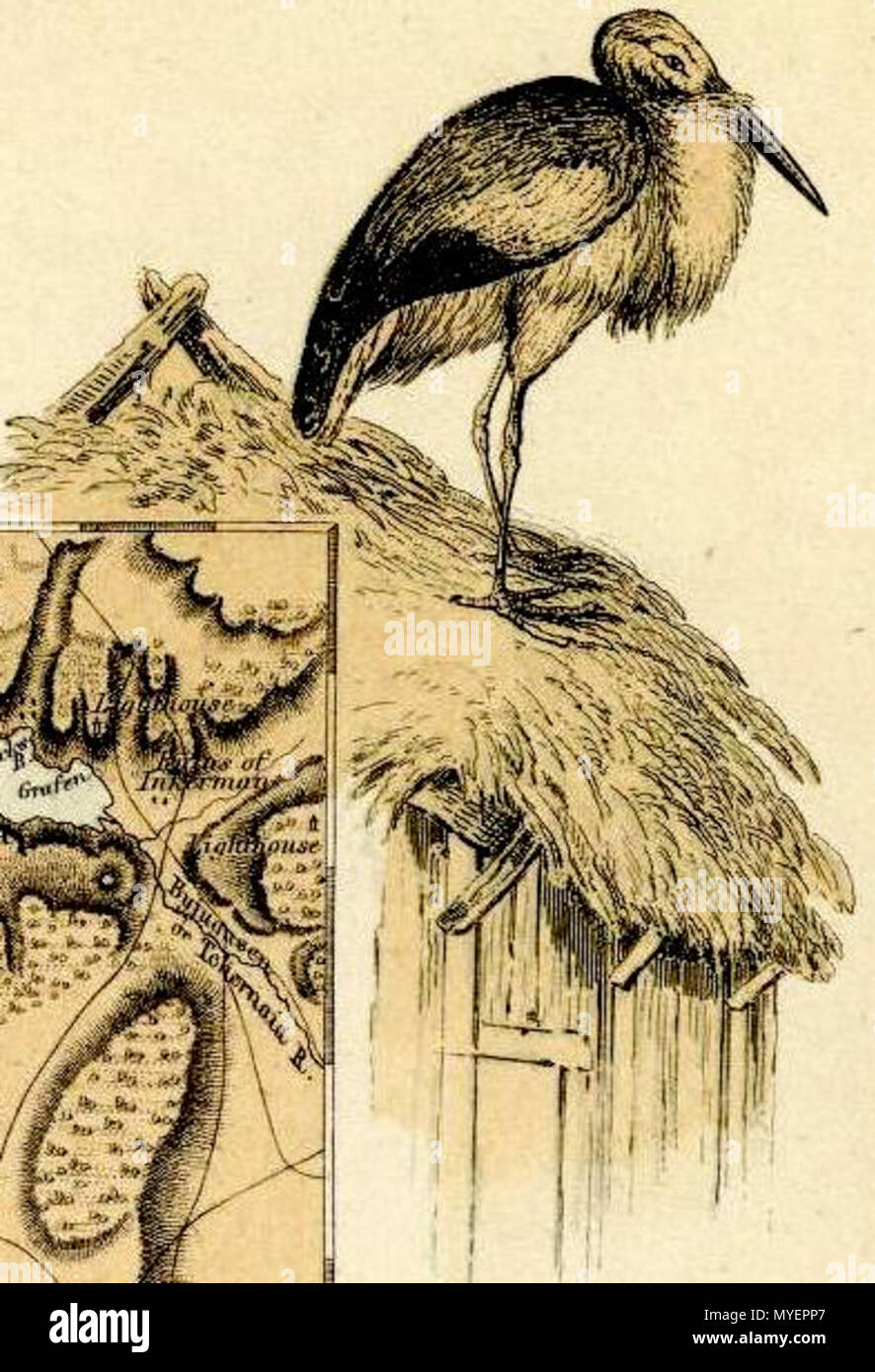 . Inglese: (Caucausus & Crimea con le porzioni del nord del nero e del Mar Caspio, Mari IX. (A) Crimea secondo Huot & Demidoff. Disegnato e inciso da J. Bartolomeo, Edimburgo. (A) Il Caucaso secondo Profr. Il dottor Karl Koch, con aggiunte di altre fonti da Augusto Petermann, F.R.G.S. Incisi da G.H. Swanston. A. Fullarton & Co. Londra, Edimburgo e Dublino. 1872. Fullarton, A. & Co 200 Fullarton, A. &AMP; Co. Caucausus &AMP; la Crimea. 1872 (V) Foto Stock