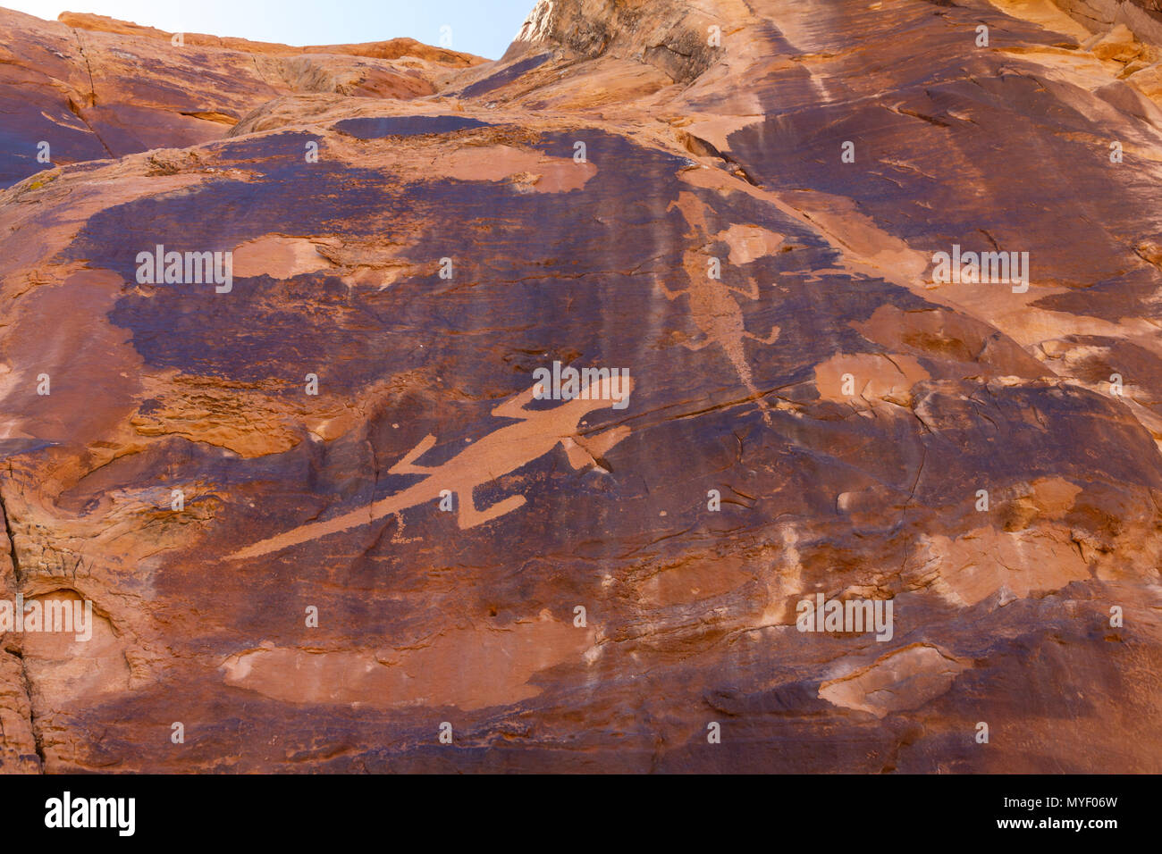 Petroglifi di lucertole scolpite dal popolo Fremont lungo Cub Creek Road nel Dinosaur National Monument, Utah. Foto Stock