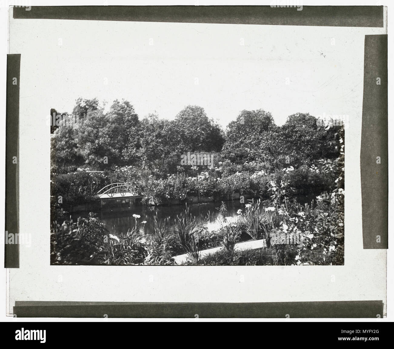 Gray-Croft, Stephen Swete casa Cummins, Huntting Lane, East Hampton, New York. Giapponese giardino iris Foto Stock