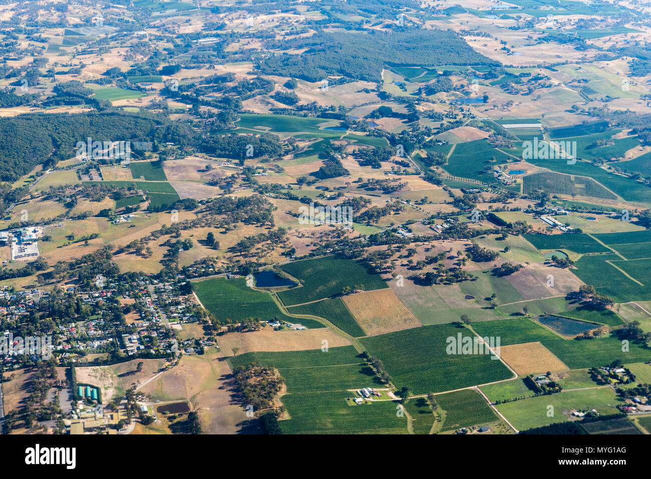Una veduta aerea di vigneti e campi coltivati. Foto Stock