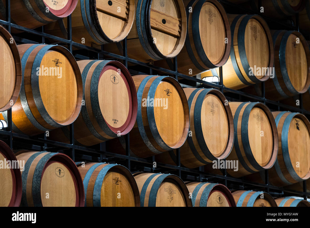 Una galleria e museo con botti da vino nella National Wine Centre. Foto Stock