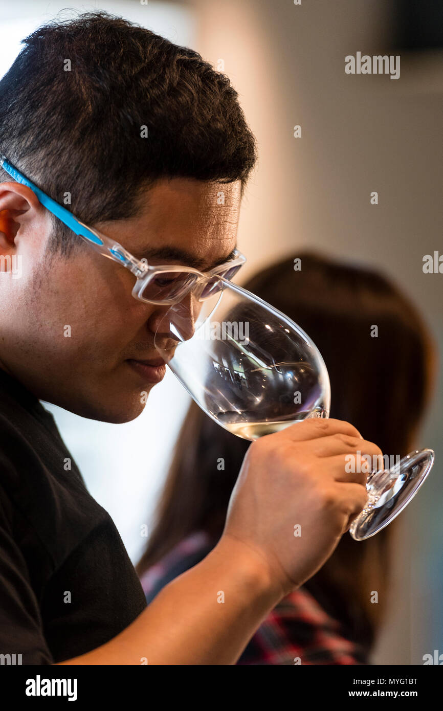 Un uomo campioni l'aroma di un bicchiere di vino in una degustazione di vino. Foto Stock