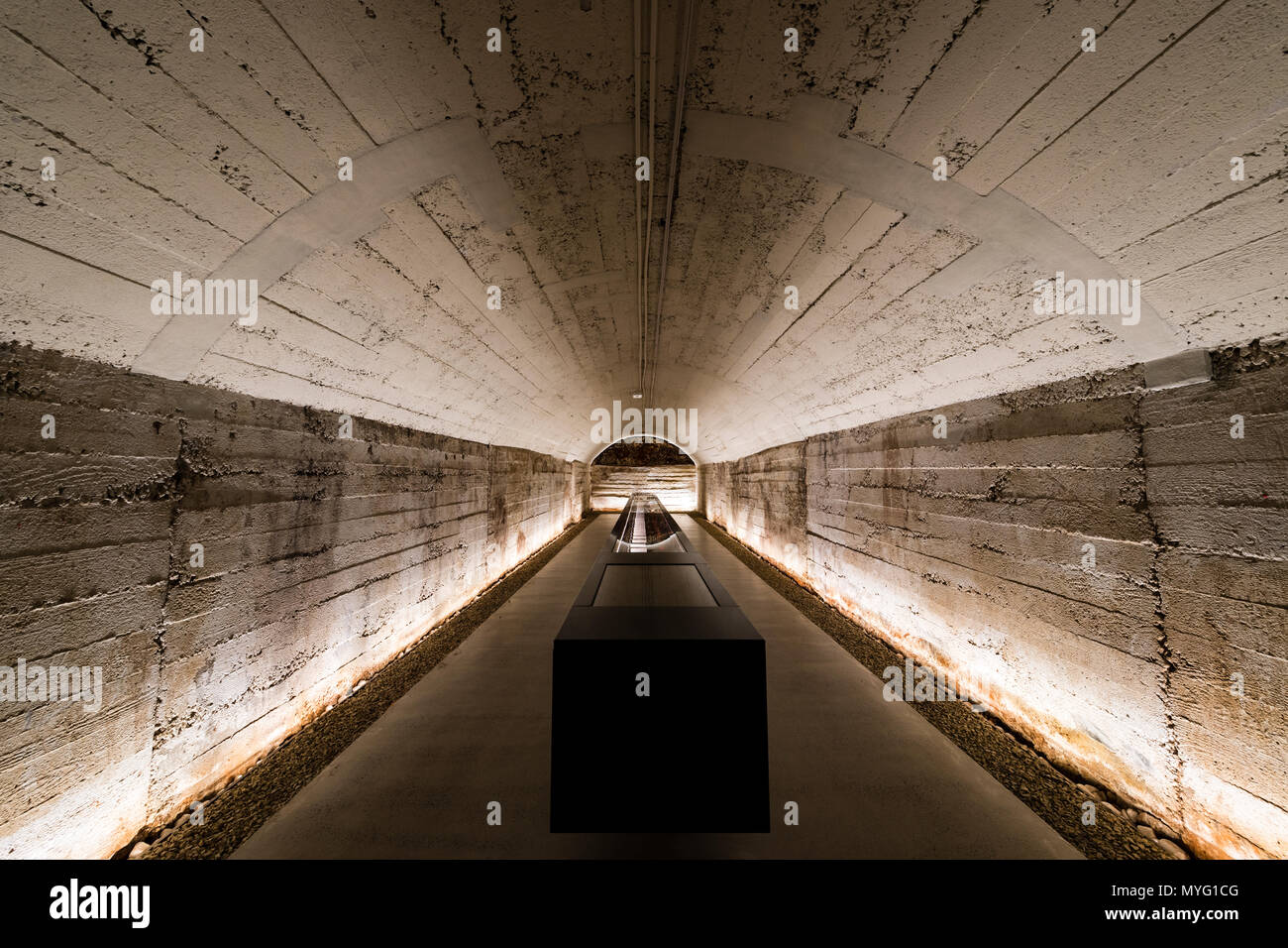 Un clima sotterraneo tunnel controllato la memorizzazione di una rara collezione di vino rosso. Foto Stock
