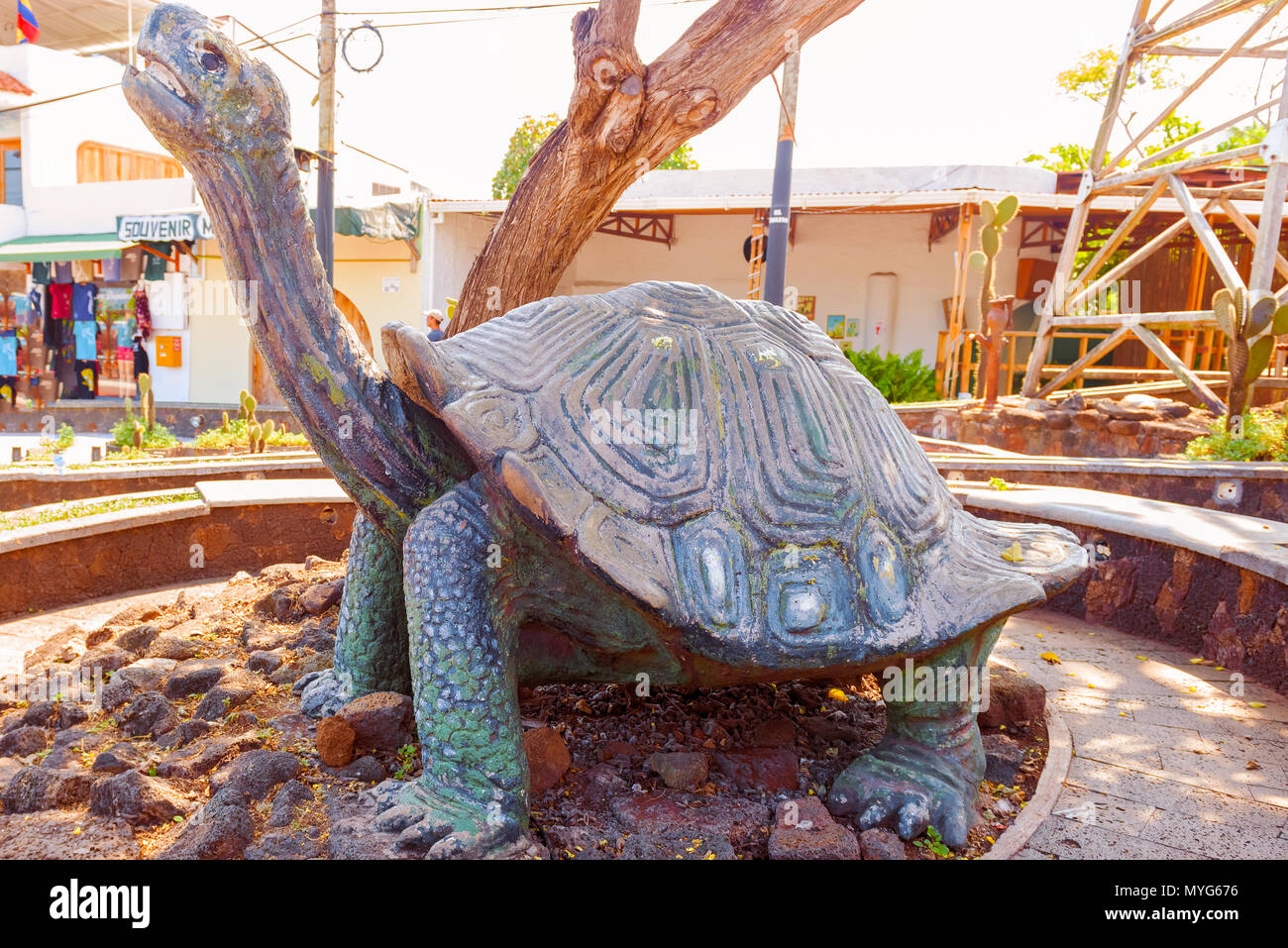 Puerto Ayora, Isola di Santa Cruz , Galapagos, Ecuador - Aprile 1, 2016: tartaruga gigante statua in Puerto Ayora sull isola di Santa cruz in Galápagos è individuare Foto Stock