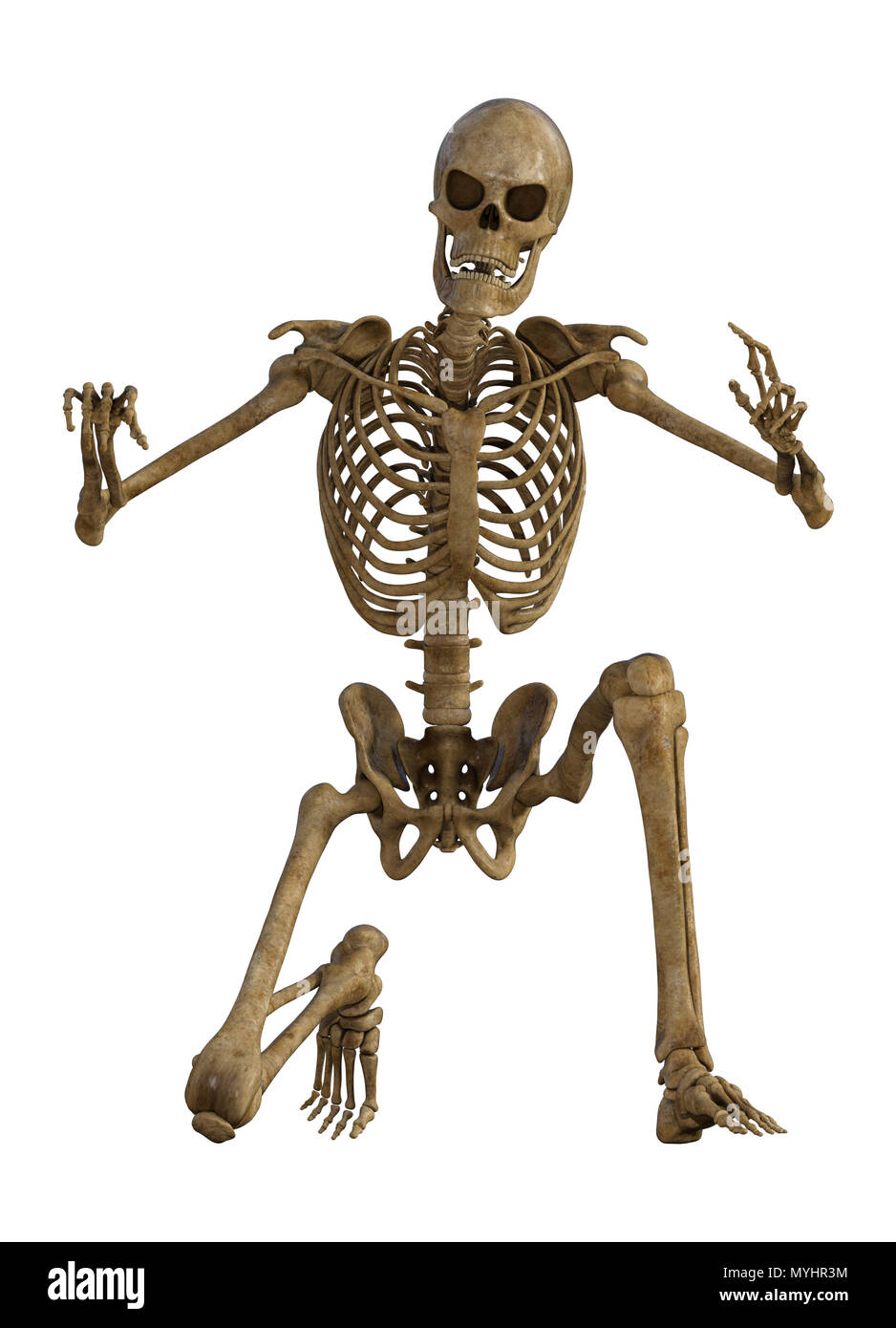 Scheletro umano corpo pieno isolato su bianco. Foto Stock