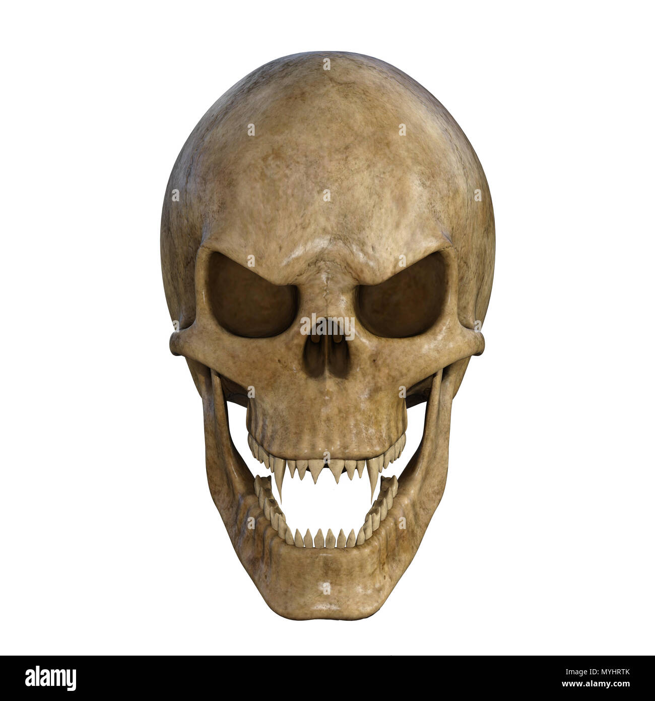 Cranio umano isolato su bianco. Foto Stock