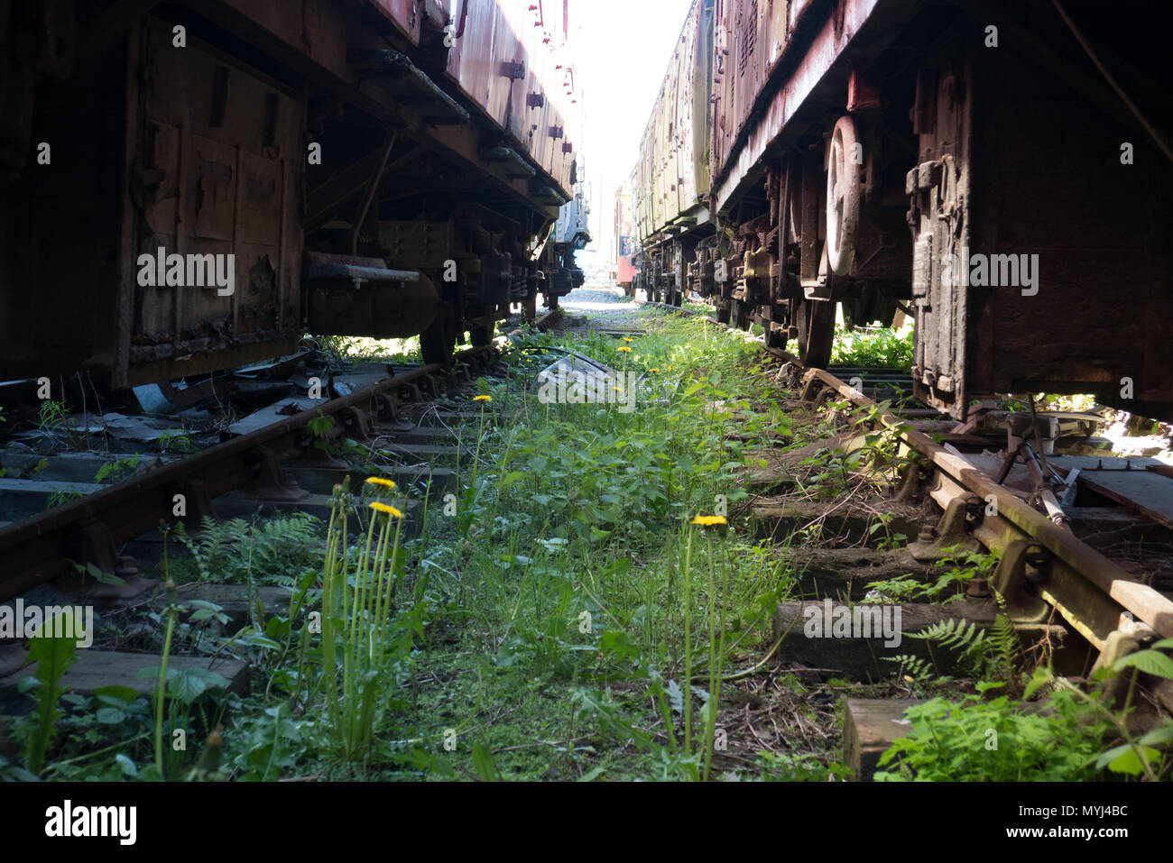 Può-14-2018, Carrog stazione ferroviaria, Wales, Regno Unito - Linea ferroviaria schierandosi con dis-utilizzati treni passeggeri (sinistra) vecchio treno di merci (a destra). Foto Stock