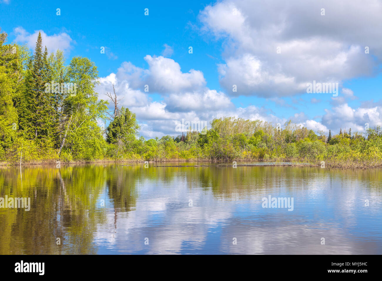 Chet fiume nella regione di Tomsk in Siberia occidentale Foto Stock