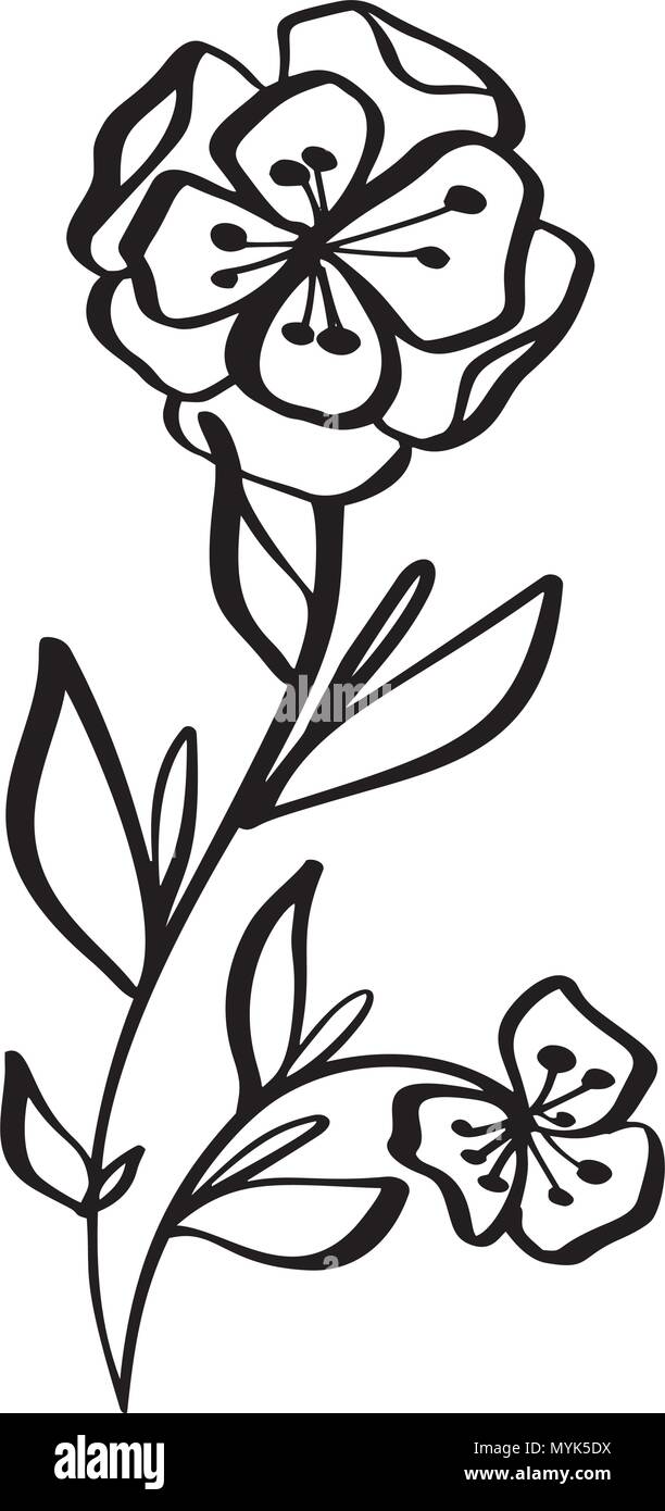 auguri di buon compleanno fiori - 6 Disegnato a mano fiori moderno disegno e bozzetto floreale con line-art, illustrazione vettoriale design di nozze per t-shirt, sacchetti per poster, cartoline di auguri, isolato su sfondo bianco Immagine e Vettoriale -