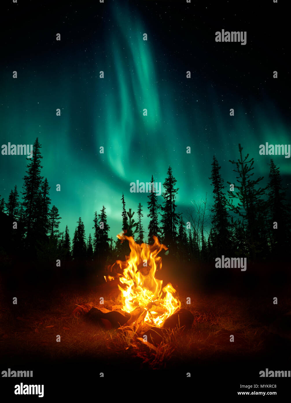 Un ambiente caldo e accogliente del fuoco nel deserto con alberi forestali stagliano sullo sfondo e le stelle e le luci del nord (Aurora Boreale) lightin Foto Stock