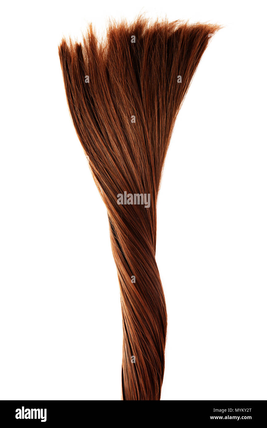 Lungo rettilineo sani marrone capelli intrecciati isolati su sfondo bianco Foto Stock