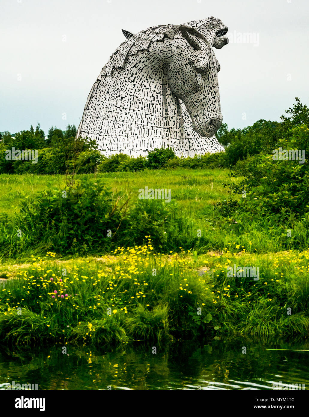 Visualizzazione verticale della lamiera sculture di Kelpies da Andy Scott, Forth & Clyde canal bank, Helix Park, Falkirk, Scotland, Regno Unito Foto Stock