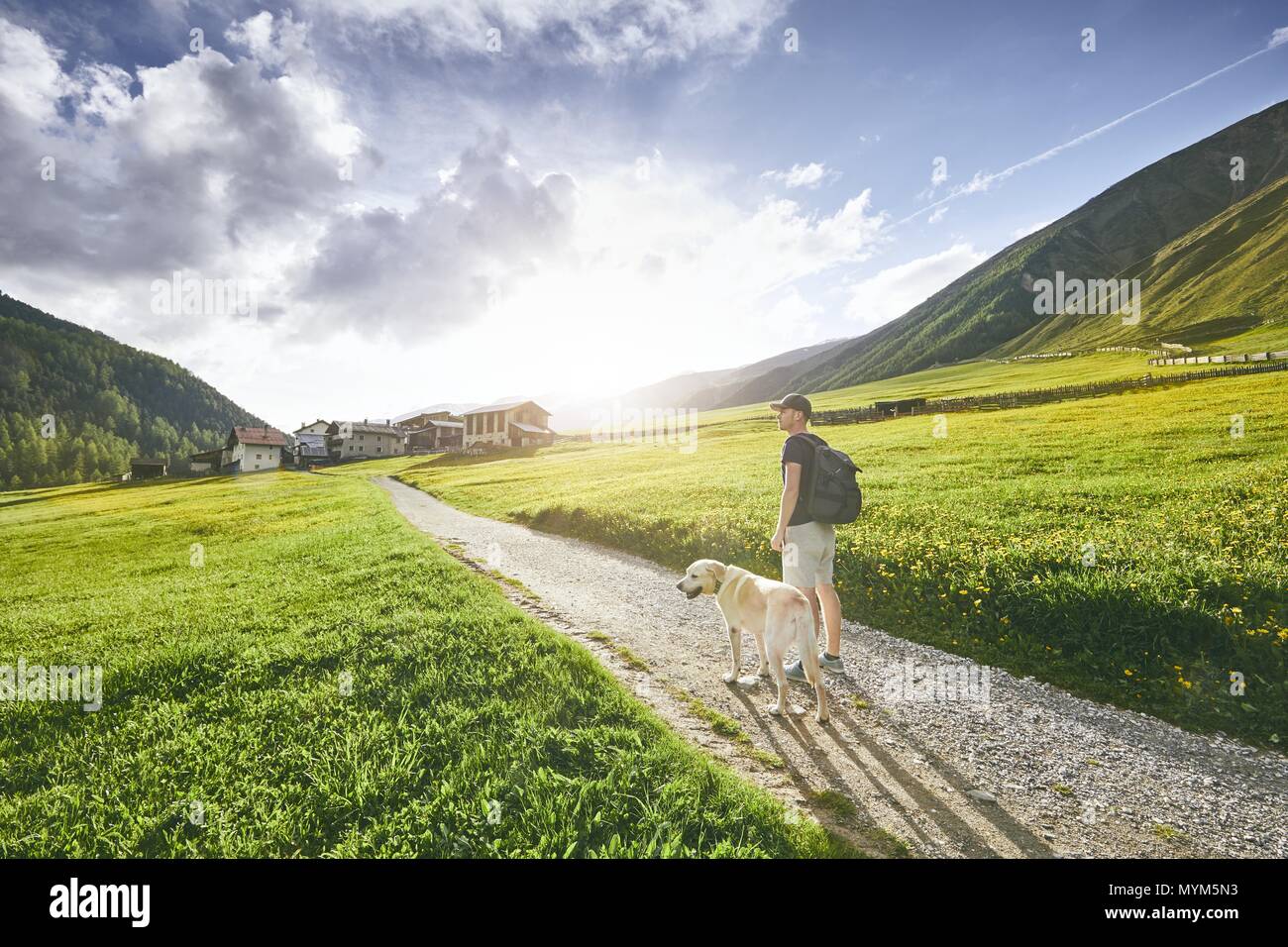 Turistico con un cane in campagna. Giovane uomo a camminare con il labrador retriever su strada sterrata contro il tramonto. Alto Adige, Italia Foto Stock