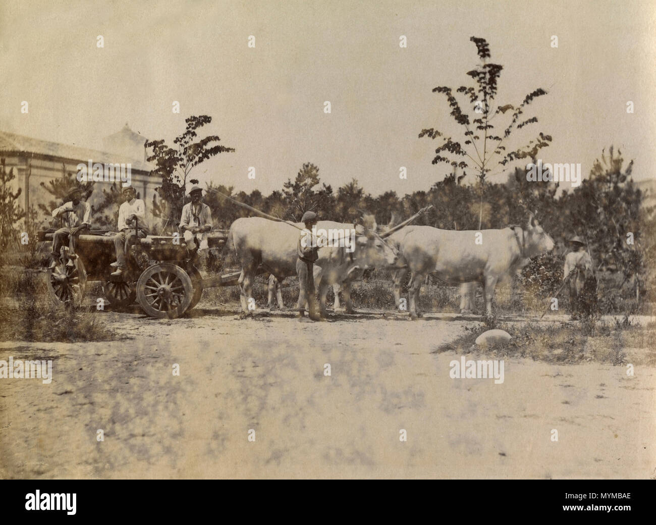 Gli agricoltori con ox cart, Italia 1870 Foto Stock