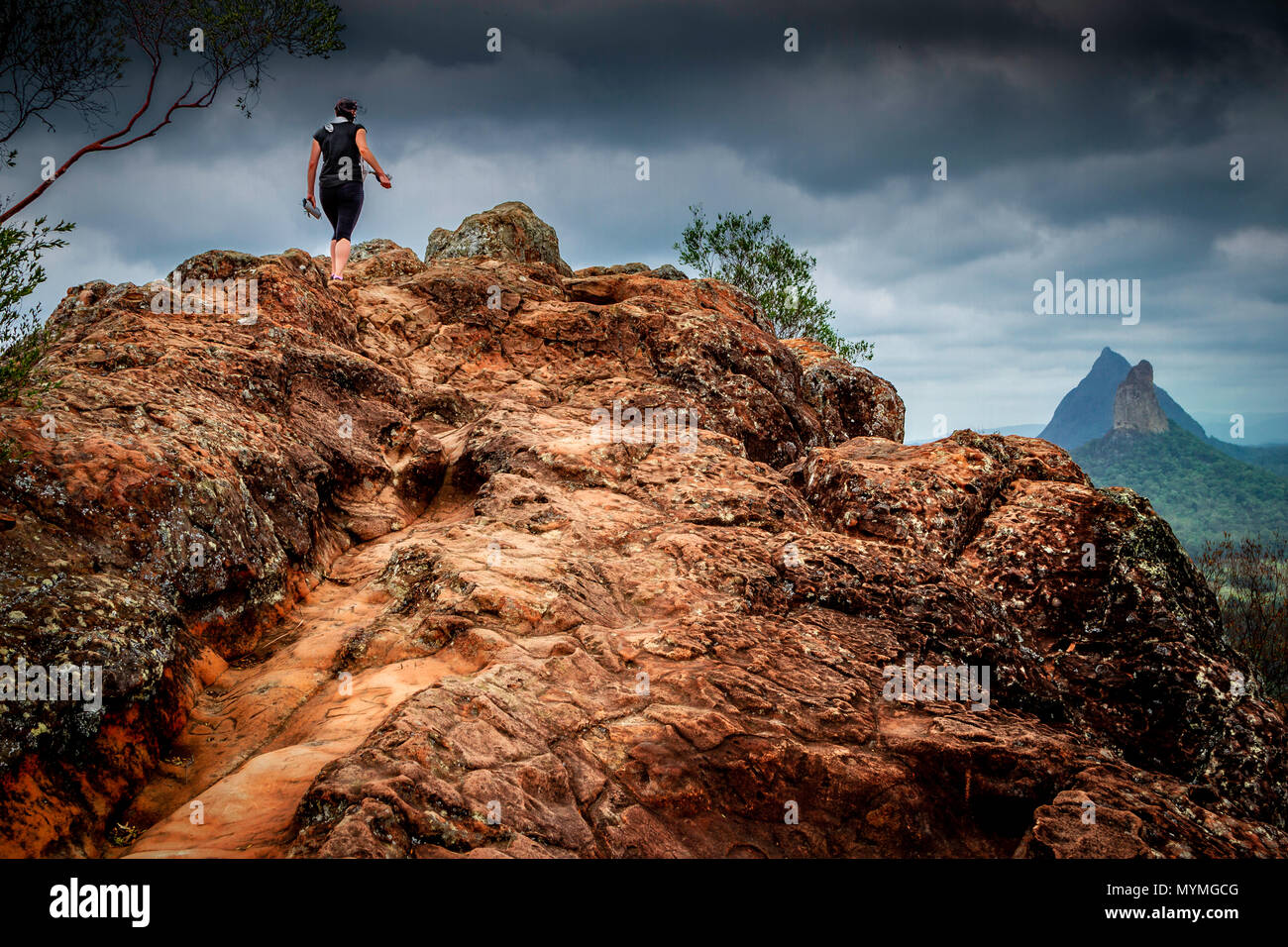 Conquistare il Monte Ngungun, QLD, Australia Foto Stock