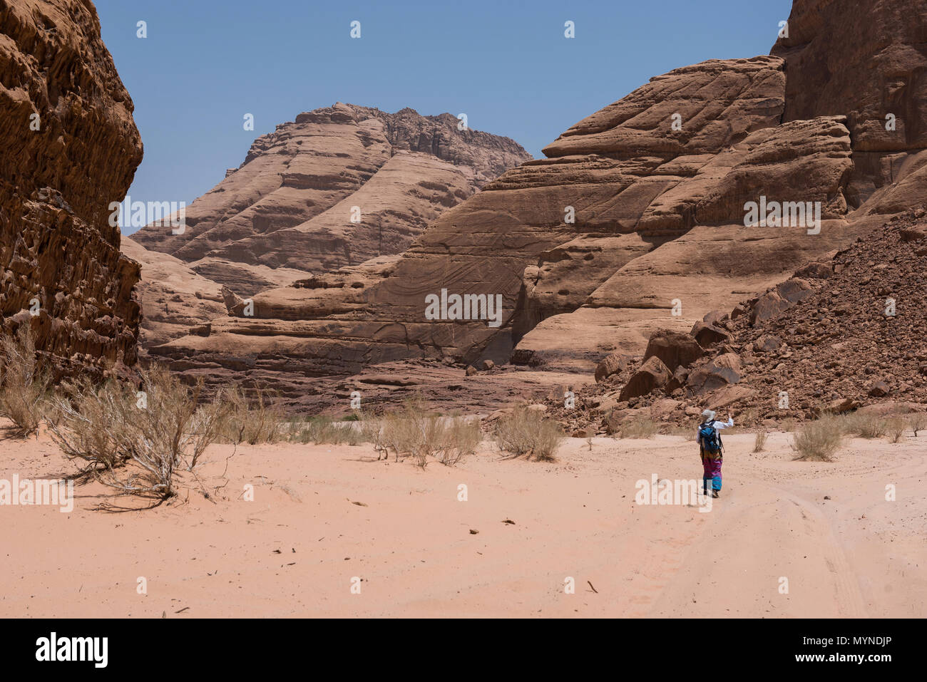 Woman trekking nel deserto. Il Wadi Rum, Giordania Foto Stock