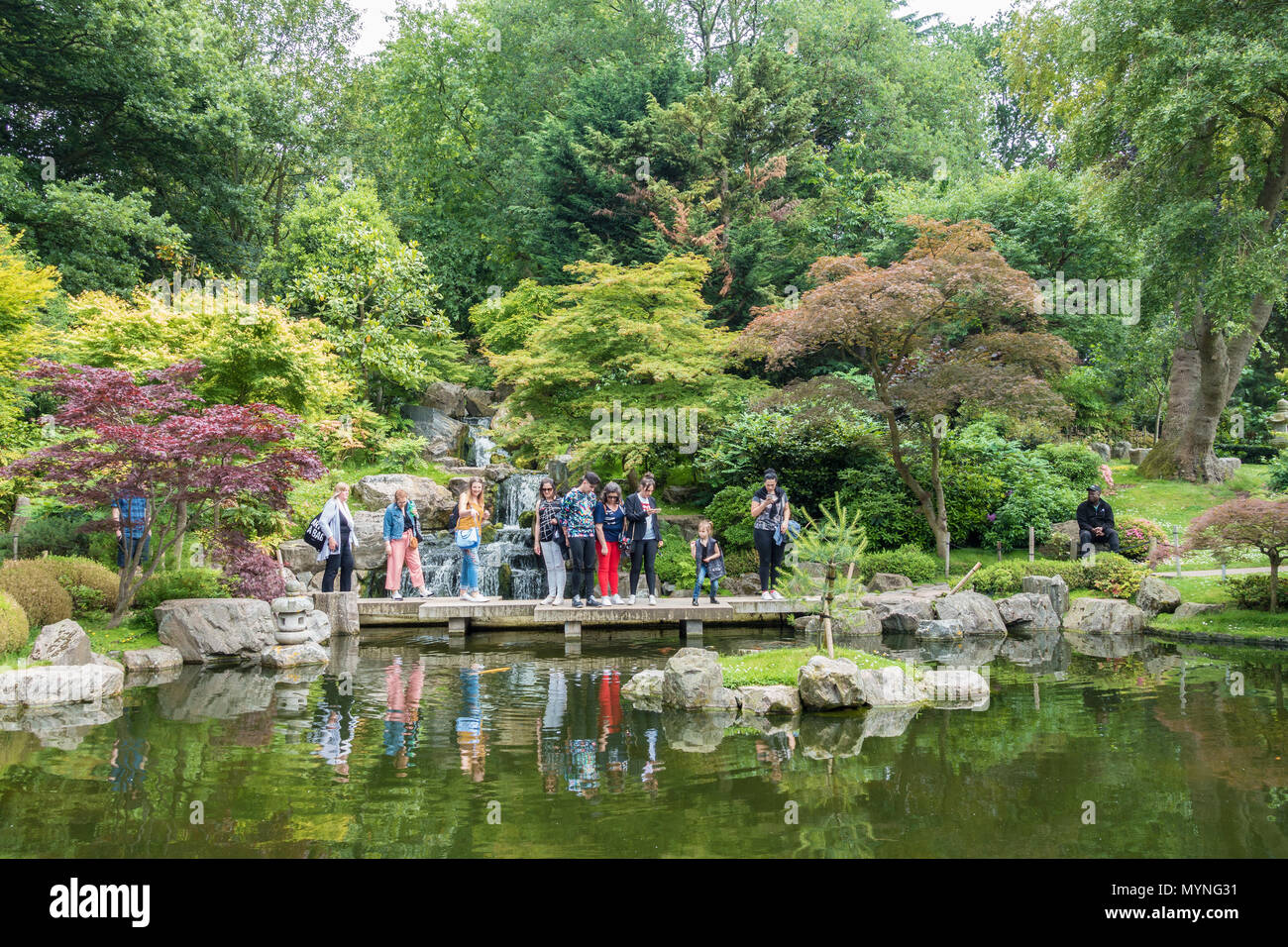 Il Giardino di Kyoto in Holland Park, Londra. Foto Stock