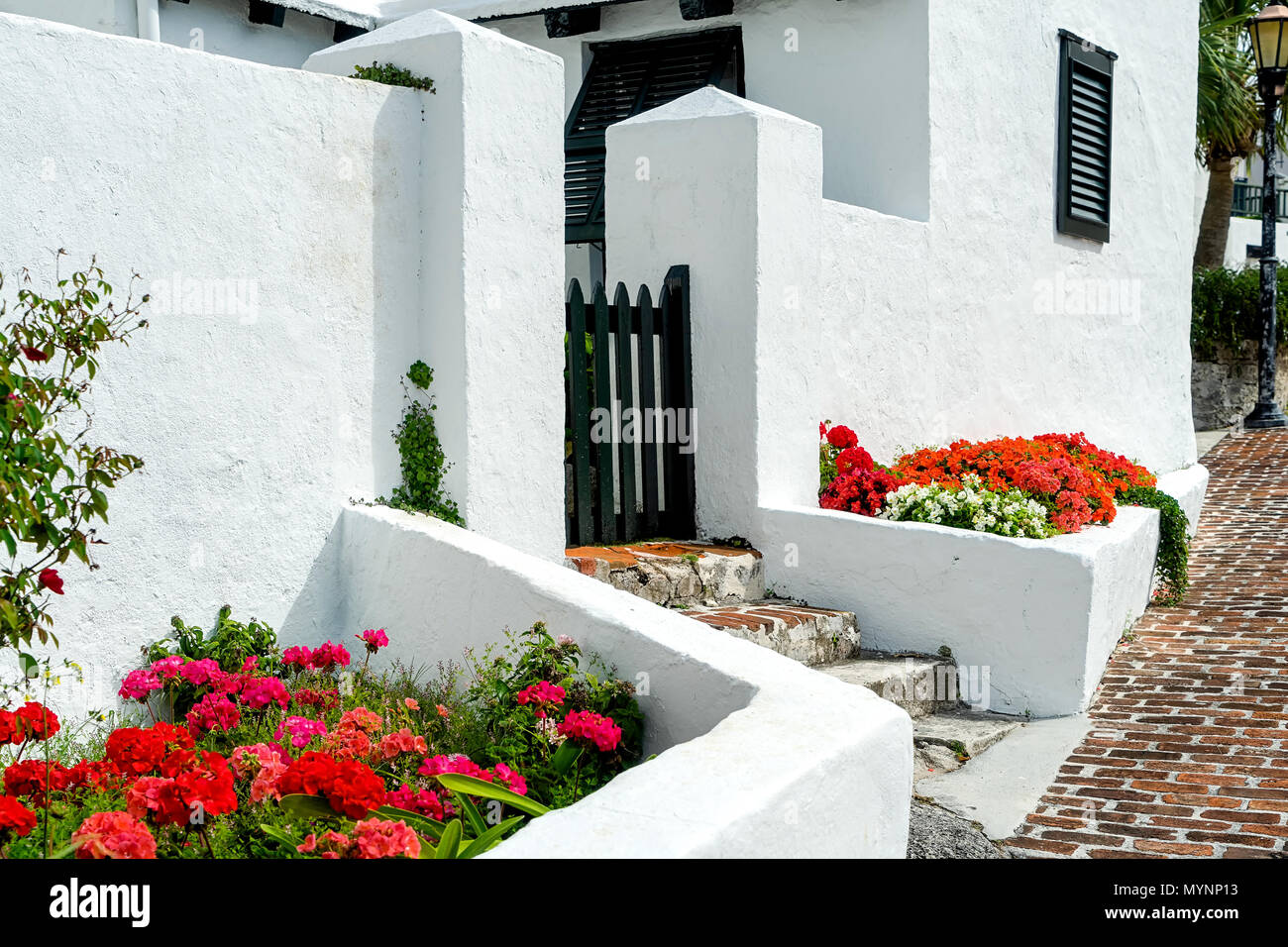 Aiuole brillante lungo le pareti in stucco di un Bermudian home. Foto Stock