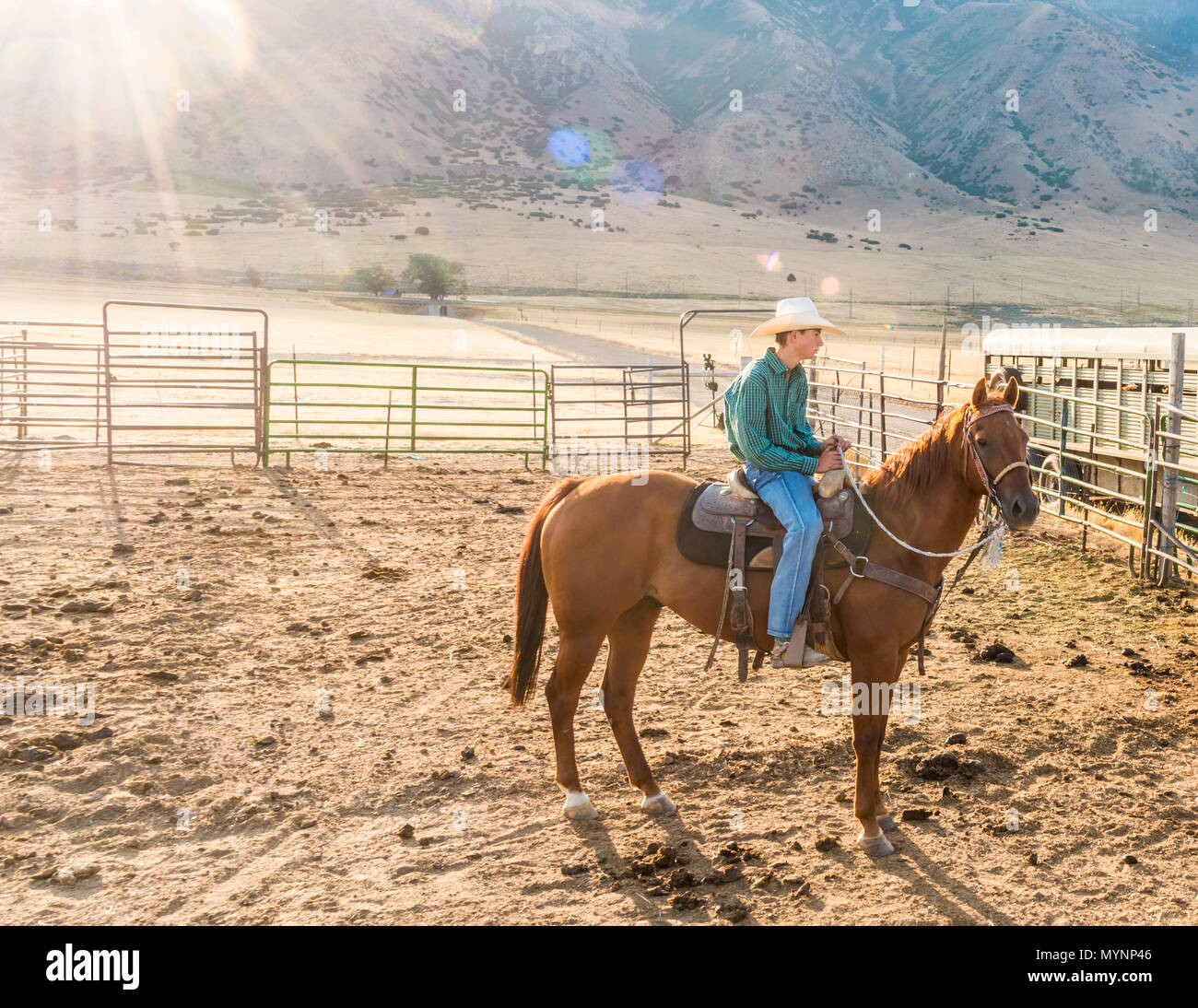 Cowboy a cavallo in attesa in corral Foto Stock