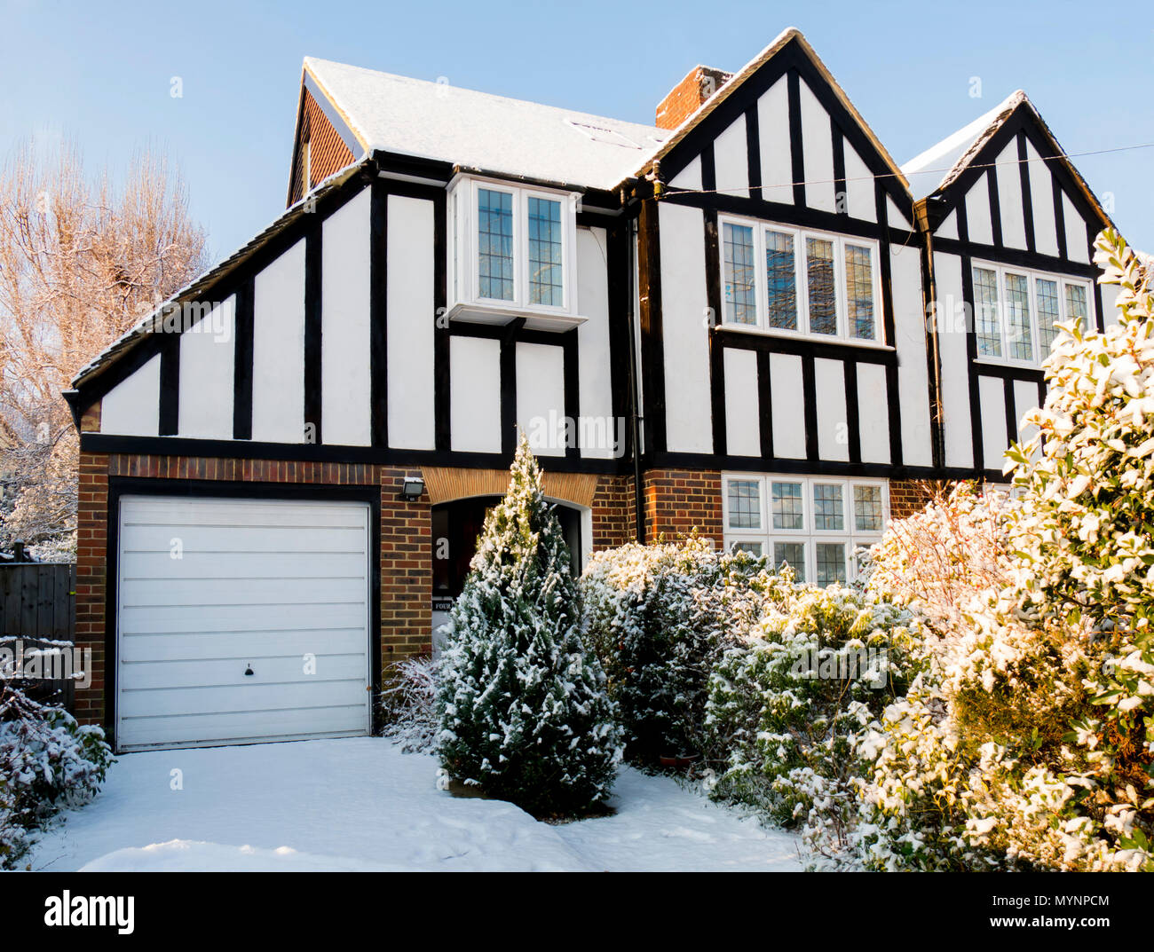 Europa, Regno Unito, Inghilterra, Surrey, sobborgo di inverno Foto Stock