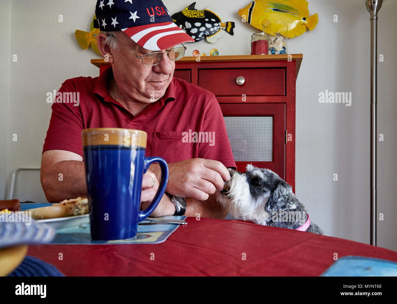 Il vecchio uomo alimentano cane Foto Stock