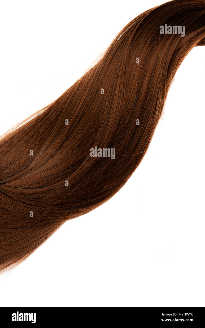 Lungo rettilineo sani marrone capelli coda di cavallo su sfondo bianco Foto Stock