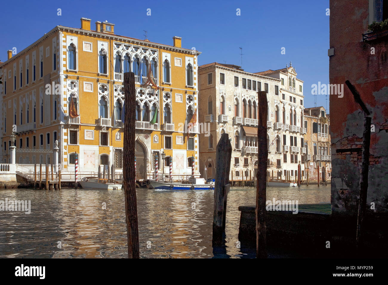 Palazzo Cavelli-Franchetti e Palazzo Barbaro che costeggia il Grand Canal, Venezia, Italia Foto Stock