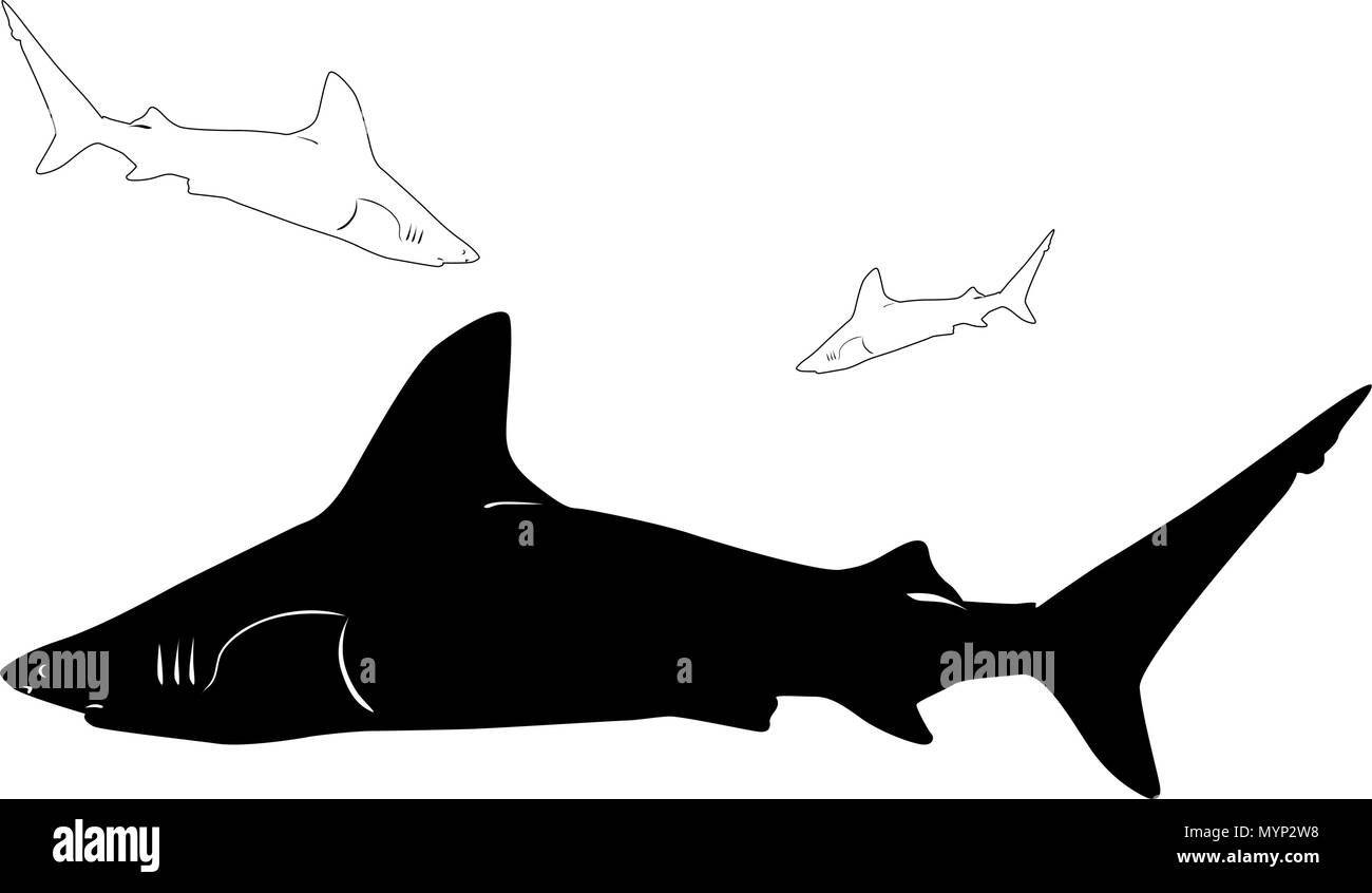 Gli squali subacquea vettore silhouette Illustrazione Vettoriale