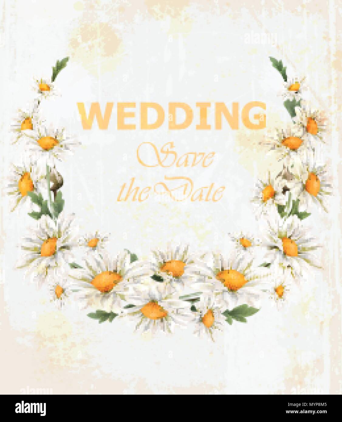 La Camomilla fiori matrimonio corona di vettore di carta. Bella cornice di primavera in stile vintage Illustrazione Vettoriale
