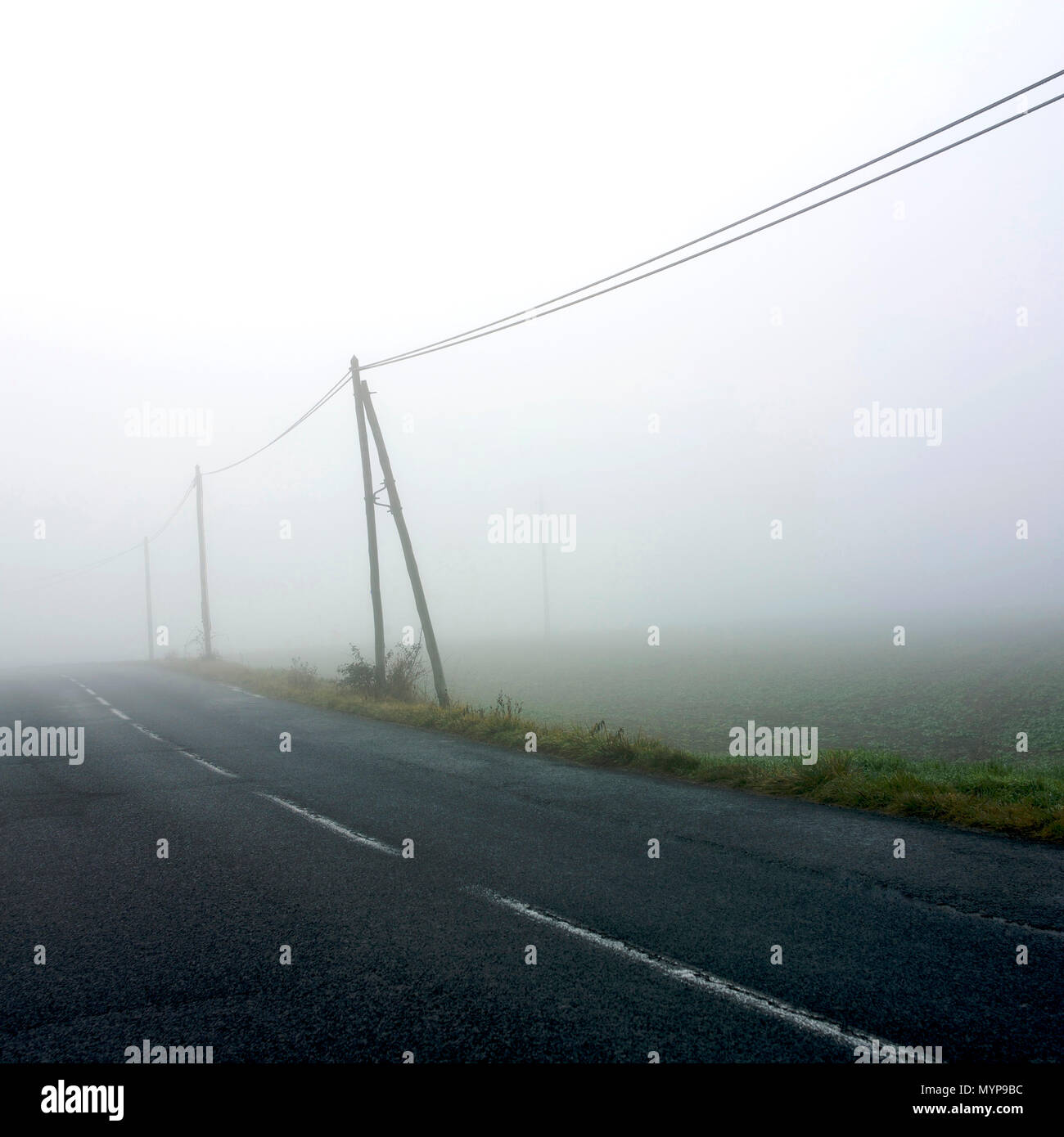 La linea telefonica in caso di nebbia, Puy de Dome, Auvergne-Rhône-Alpes, Francia Foto Stock