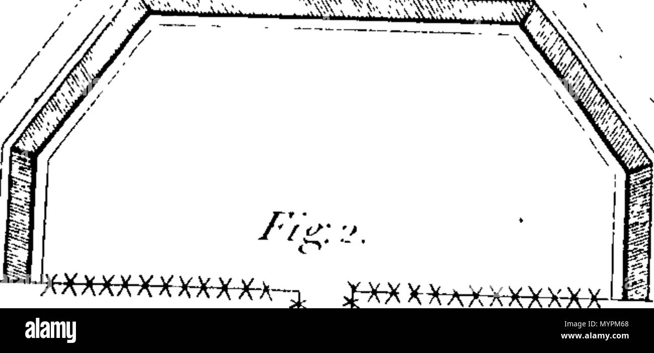 . Inglese: Fleuron dal libro: un saggio sul campo fortificazione; destinati principalmente per l'uso di ufficiali della fanteria. Ma racconteremo come tracciare sul suolo e costruire in maniera più semplice, di tutti i tipi di redouts e altre opere di campo; inoltre, mettere in un buon stato di difesa, posti di diversi tipi, come chiese, Church-Yards, vecchi castelli, villaggi, le piccole e le grandi città, &c. Con quaranta Copper-Plates. Tradotto dal manoscritto originale di un funzionario di esperienza nel servizio prussiano, J. C. Pleydell, luogotenente nel dodicesimo reggimento di piede. 320 un saggio sul campo f Foto Stock